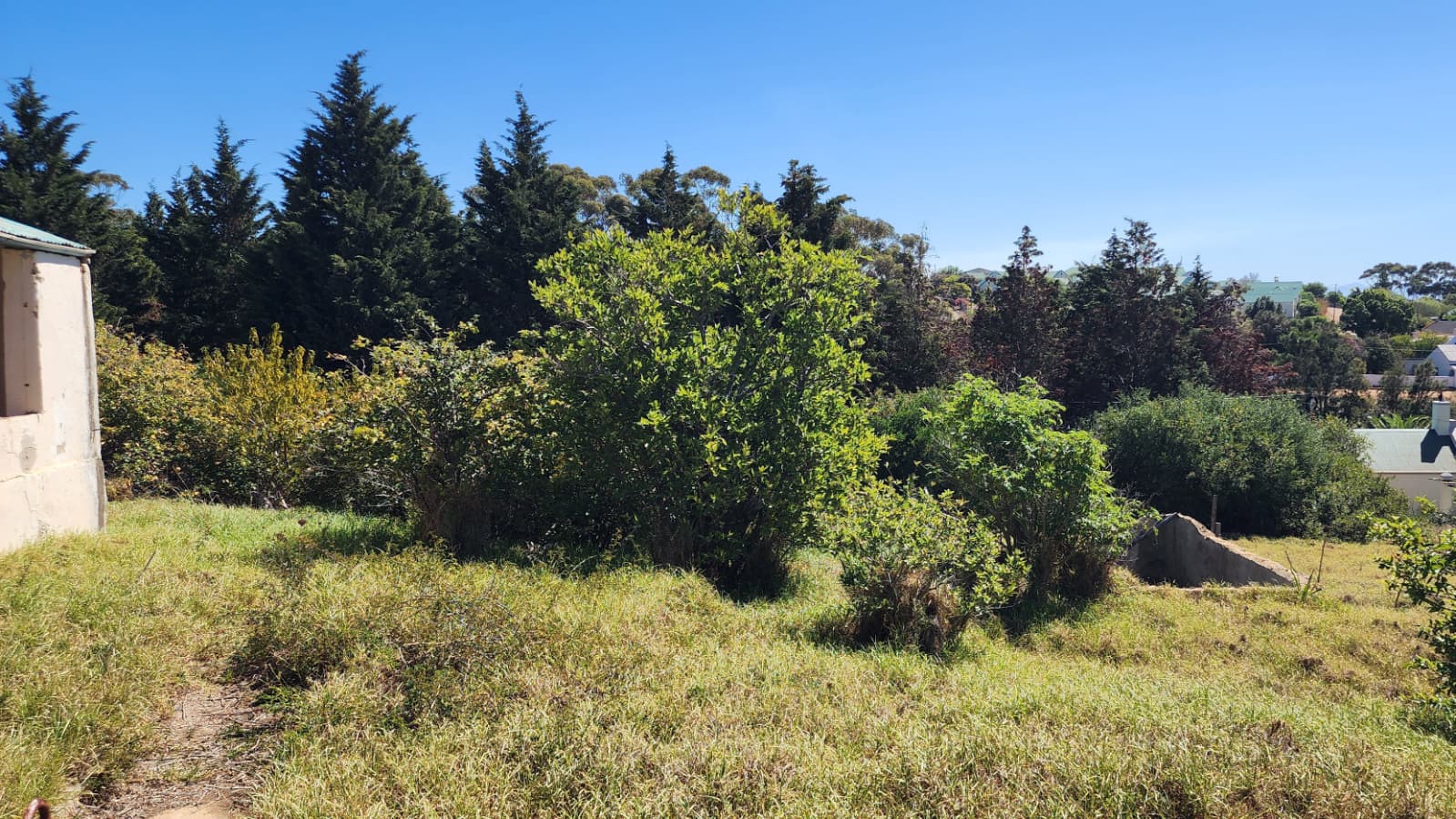 Image 5 of 6