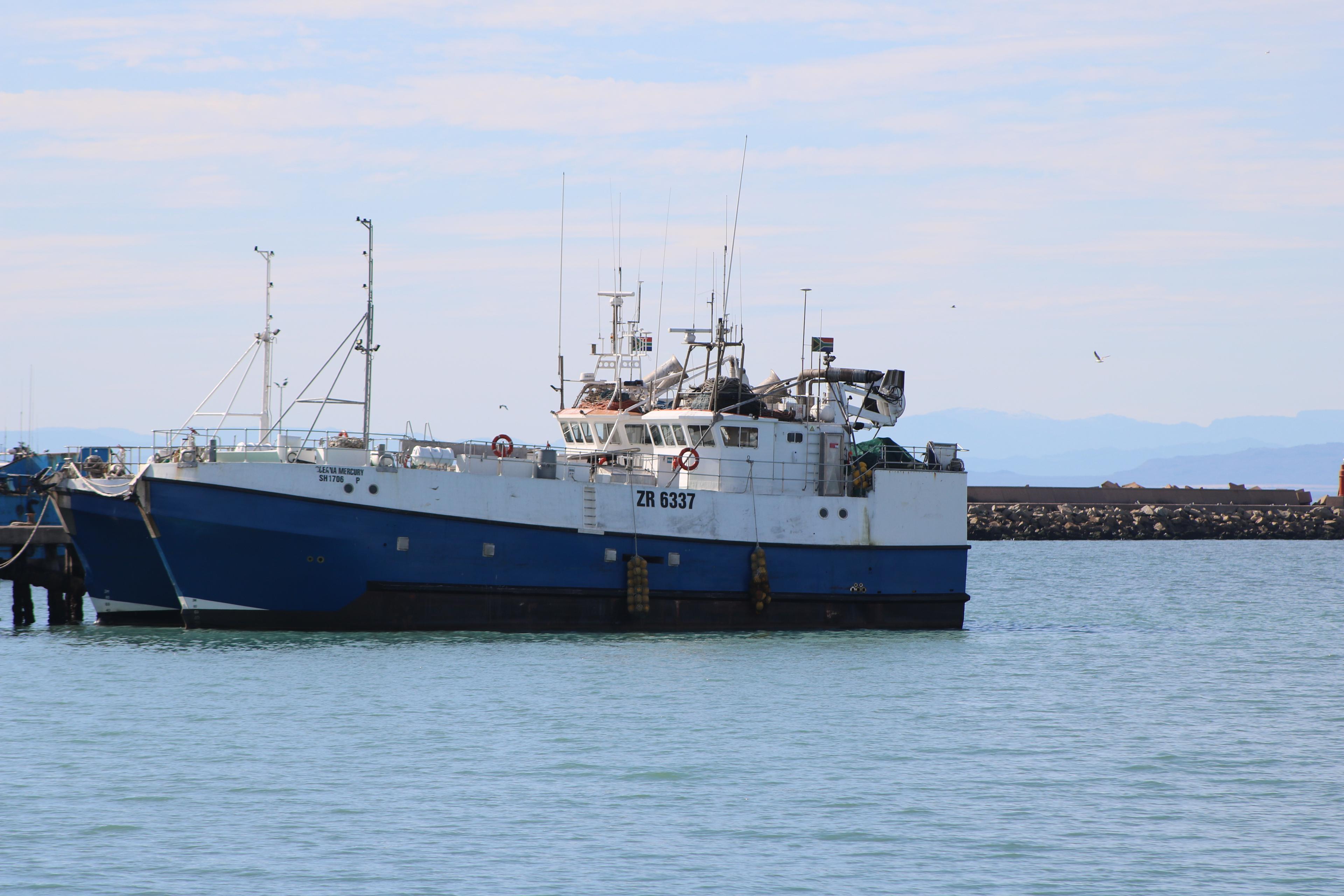 Image 12