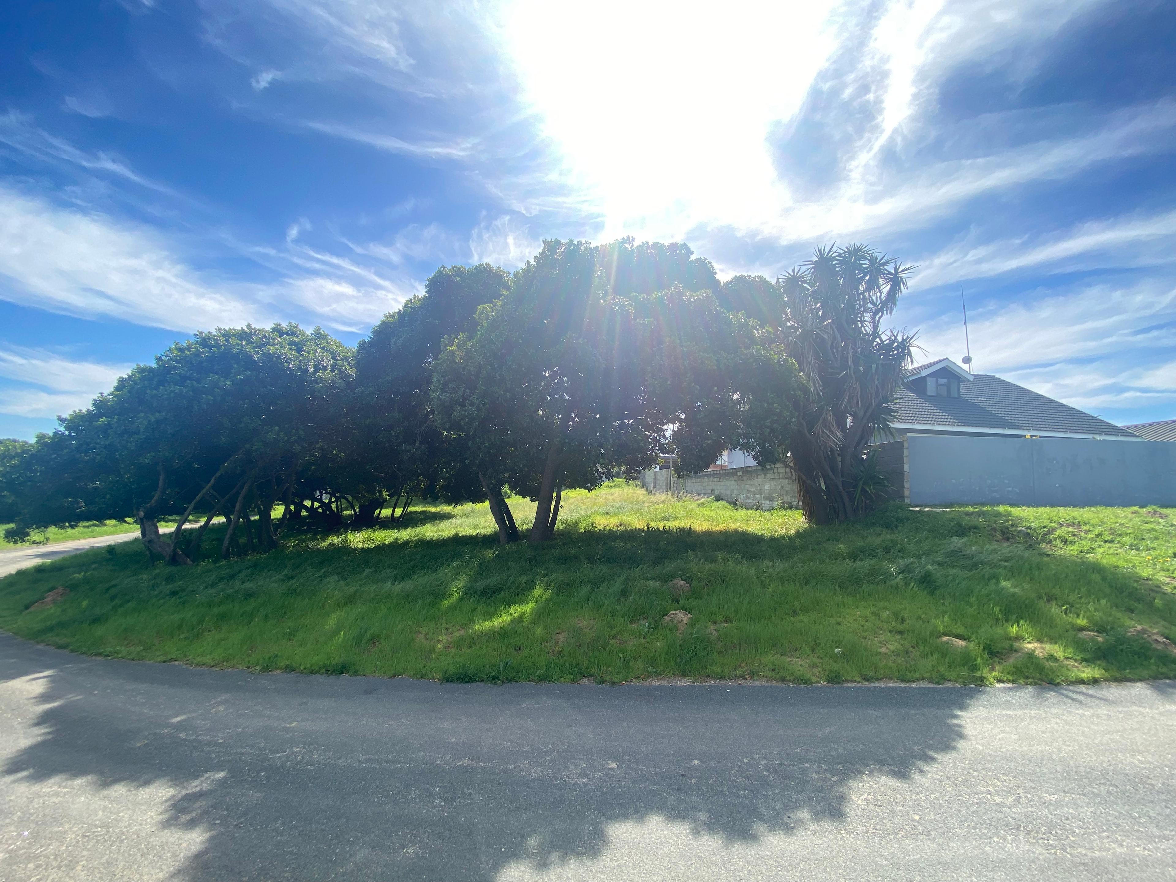 Image 15