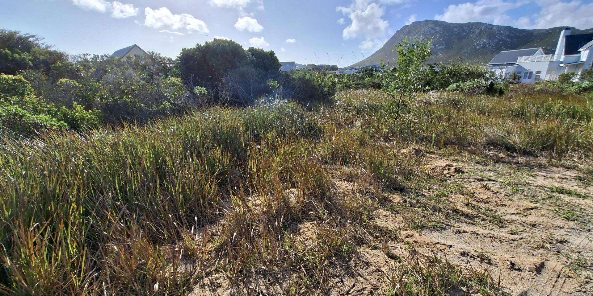 Image 5 of 6