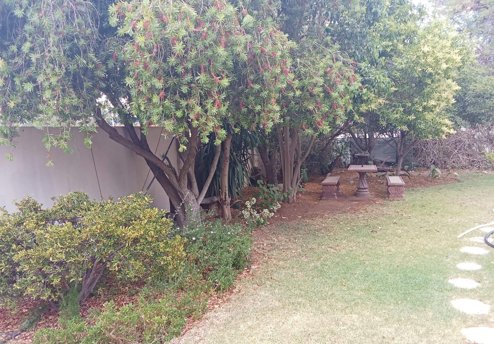 Image 41