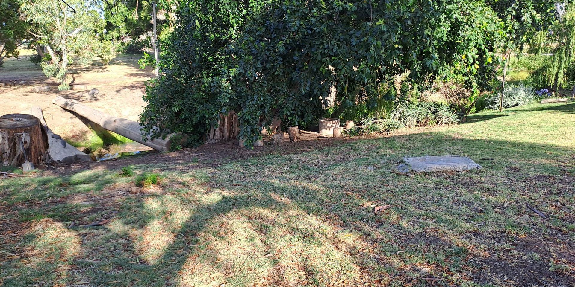 Image 2 of 6