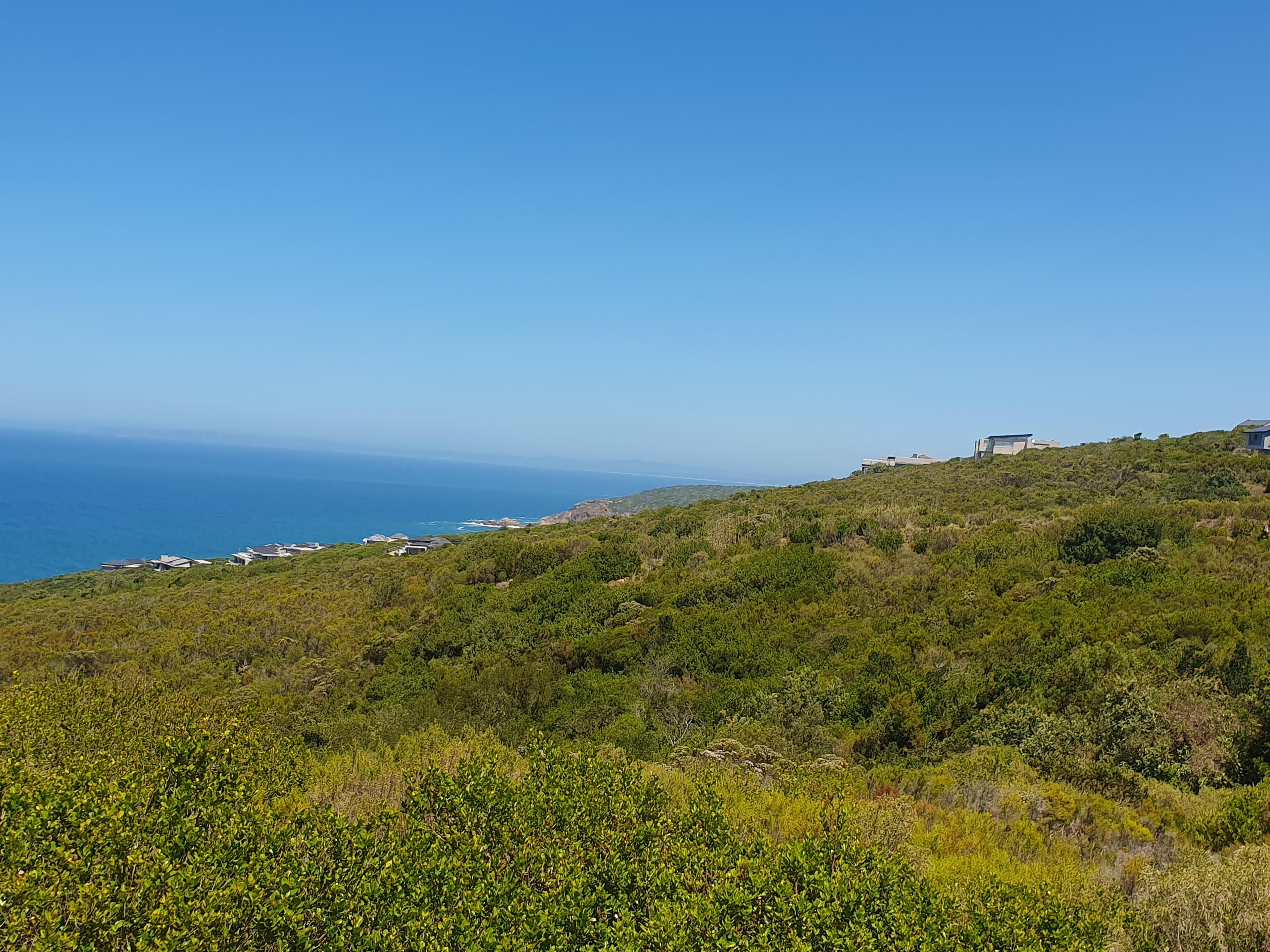 Image 5 of 6