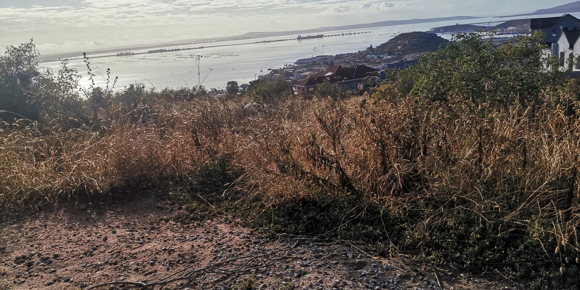 Image 2 of 6