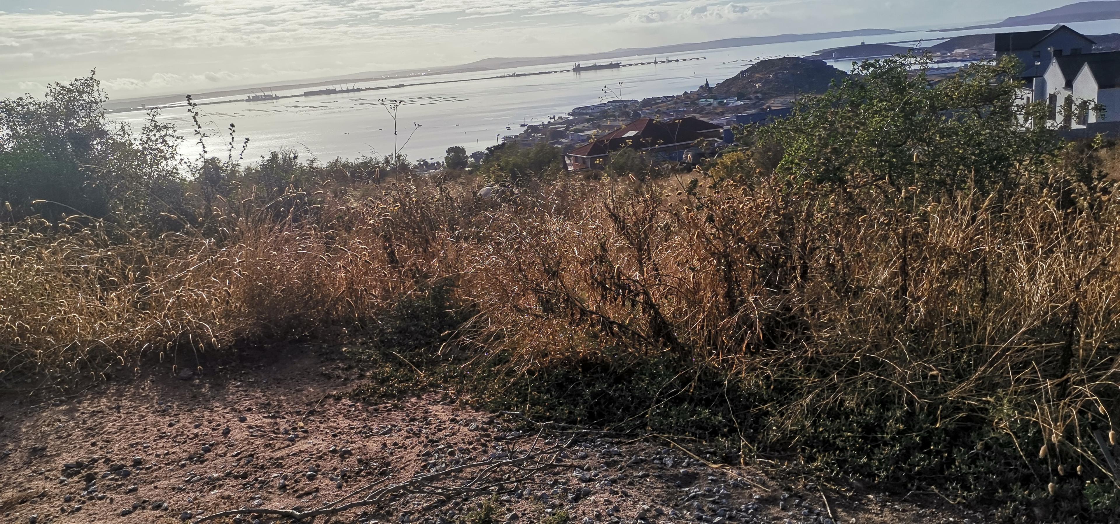 Image 2 of 6