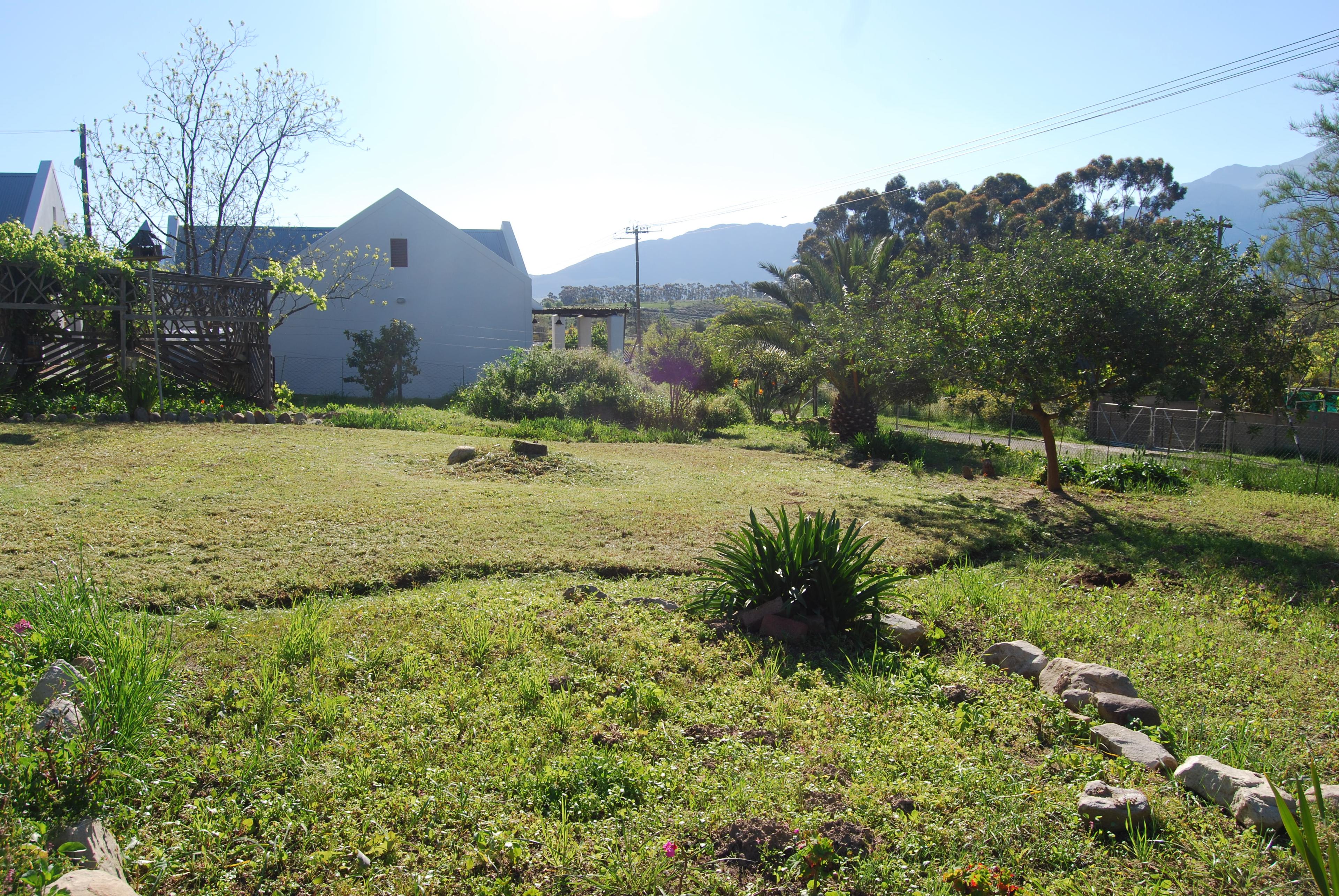 Image 5 of 6