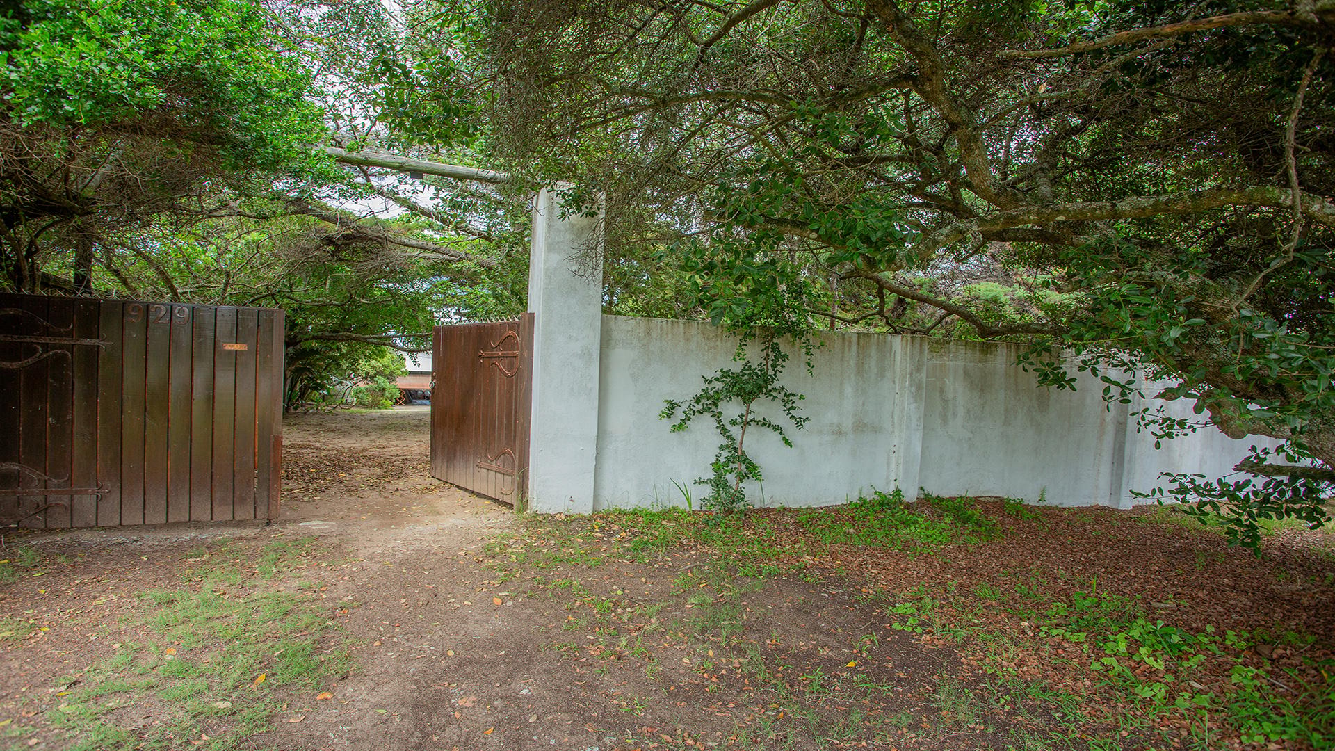Image 23
