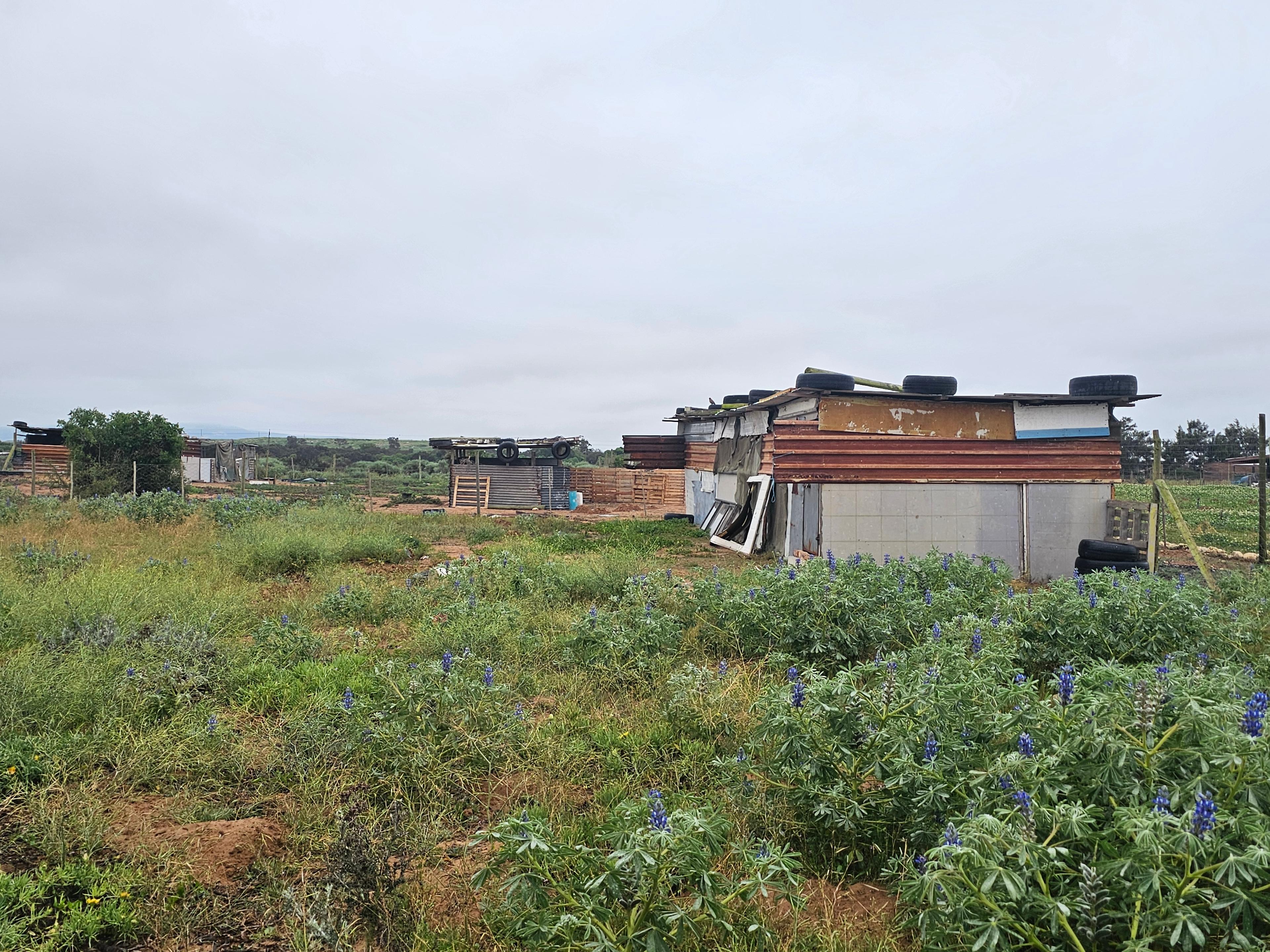 Image 5 of 6