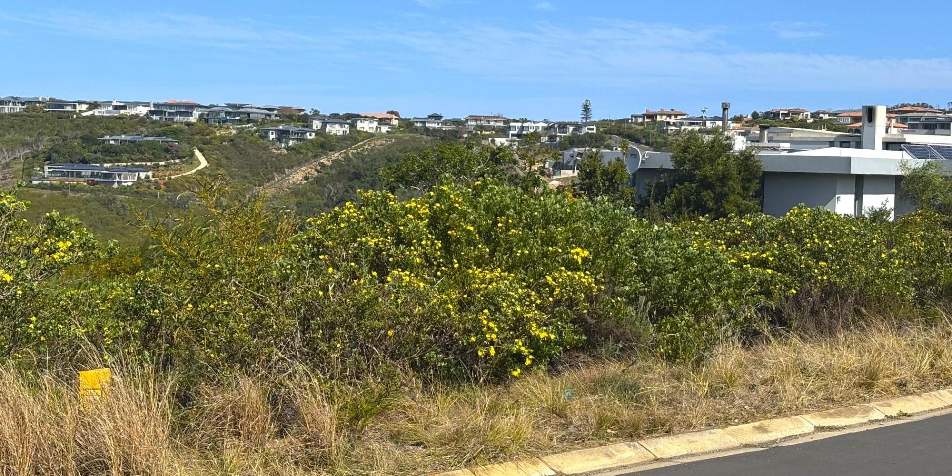 Image 2 of 6
