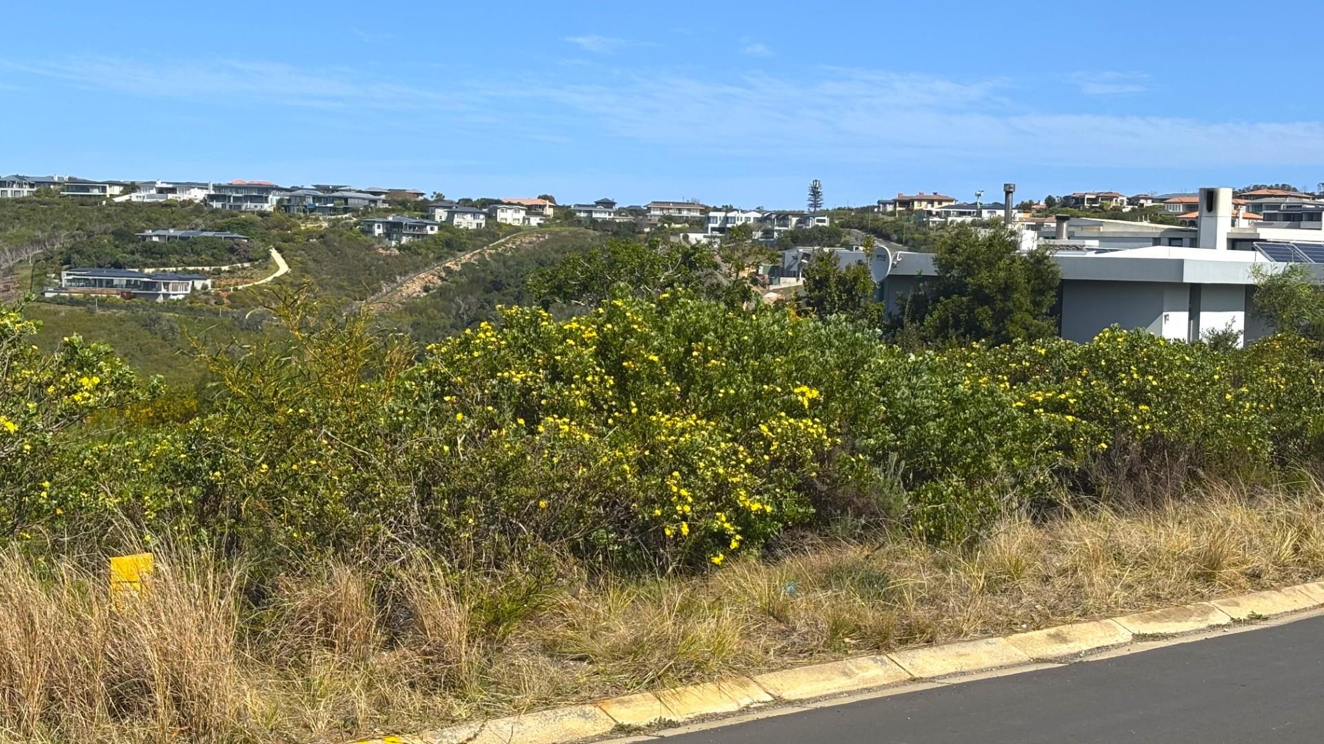 Image 2 of 6