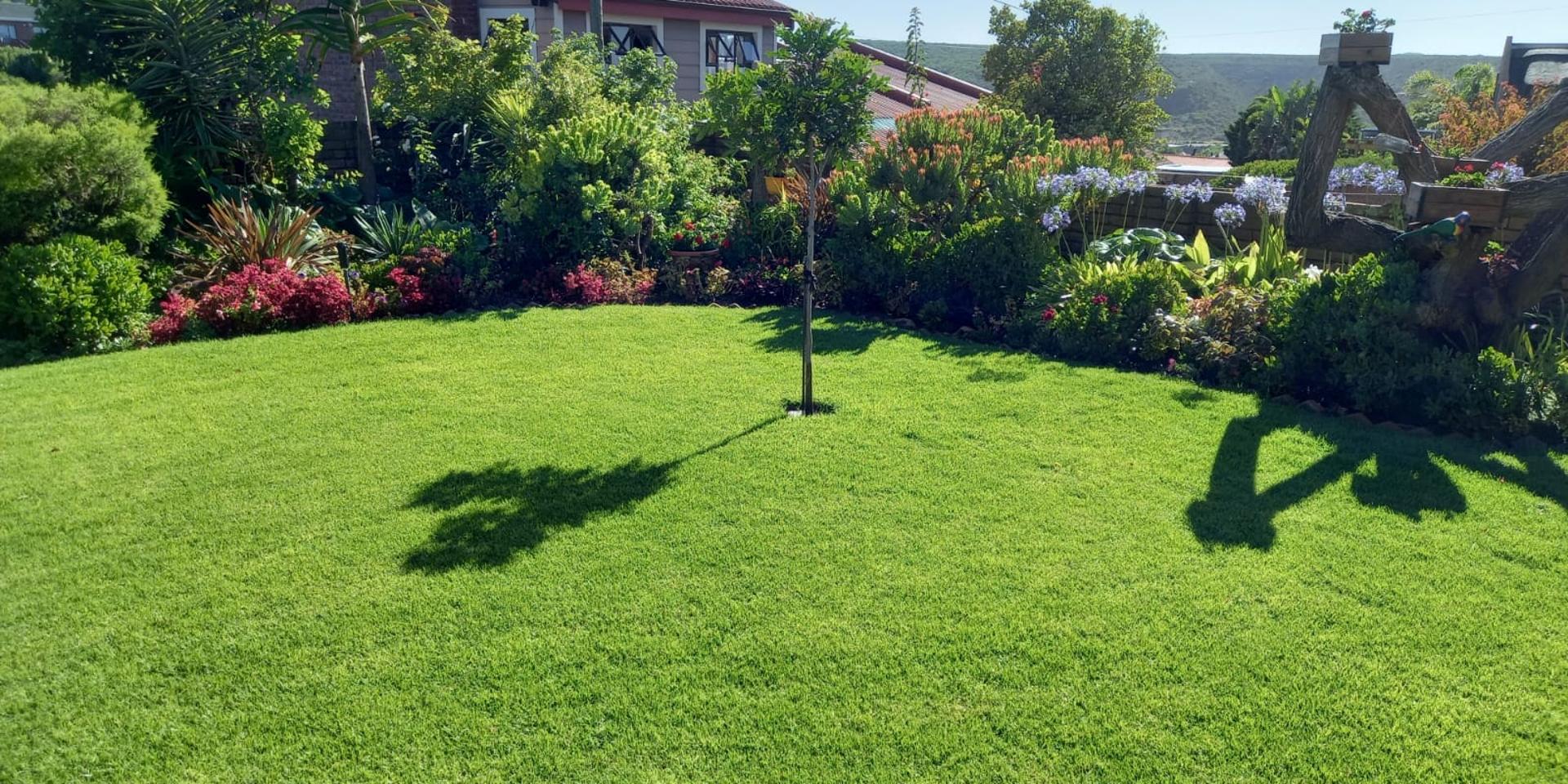 Image 2 of 6