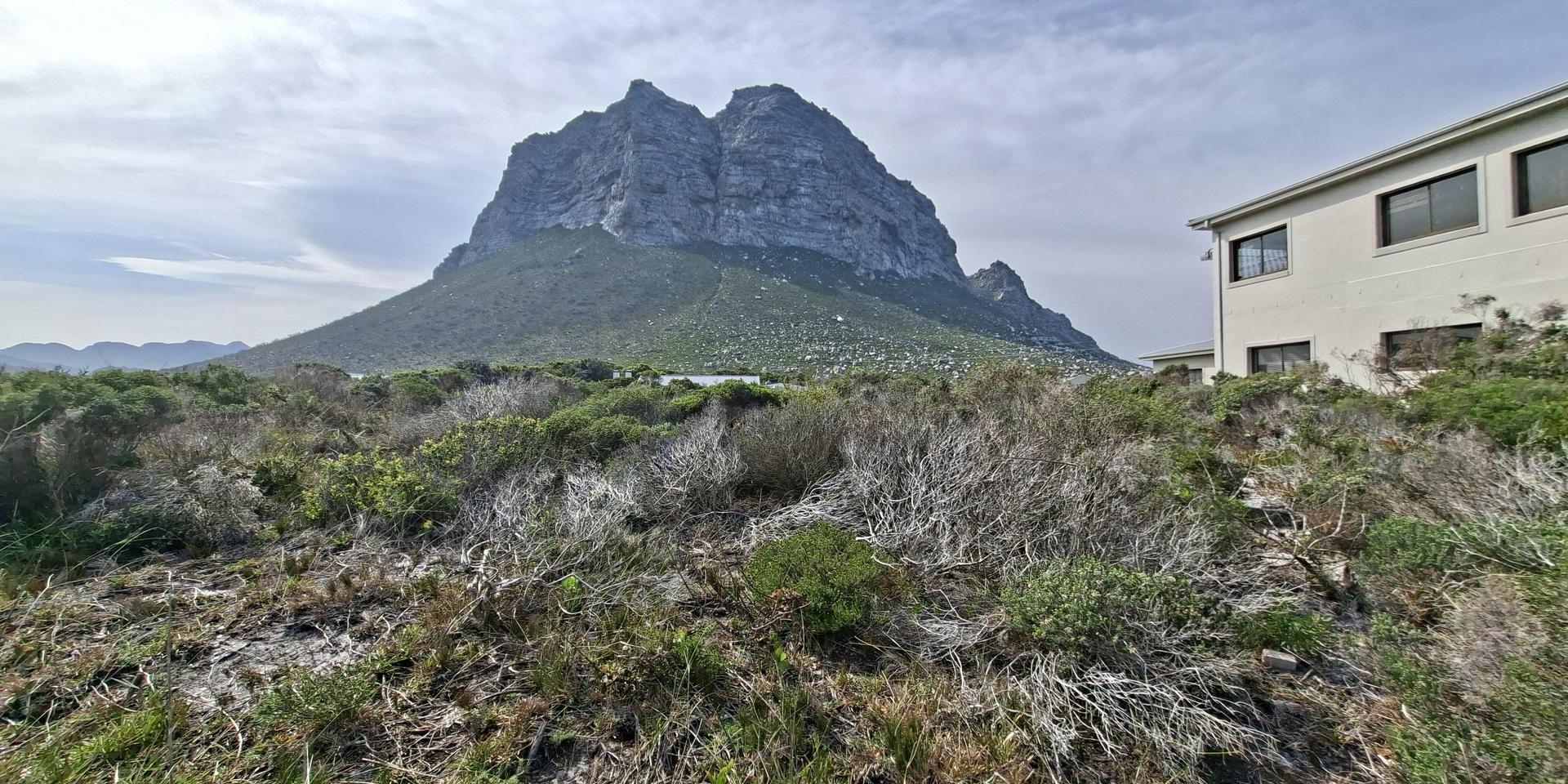 Image 4 of 6