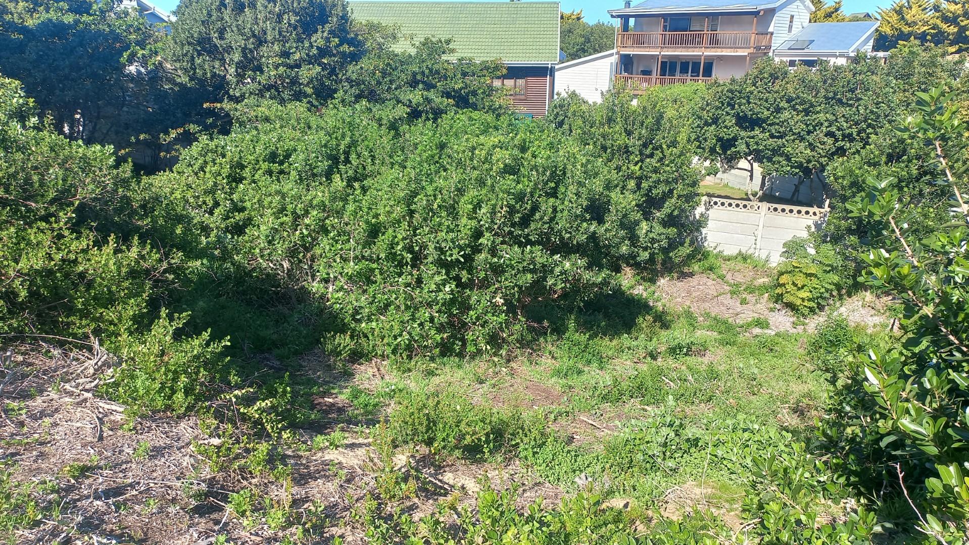 Image 5 of 6