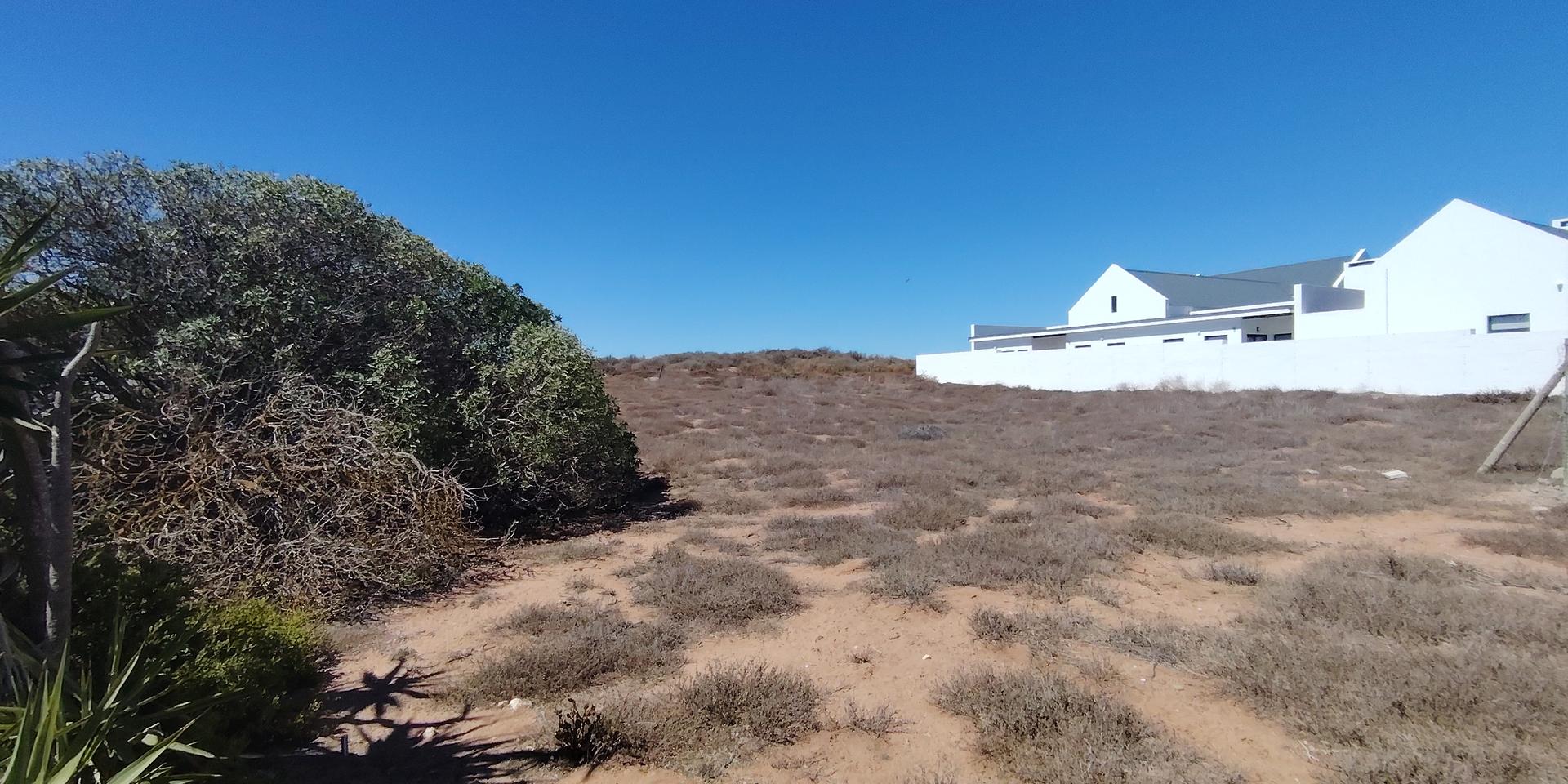 Image 3 of 6