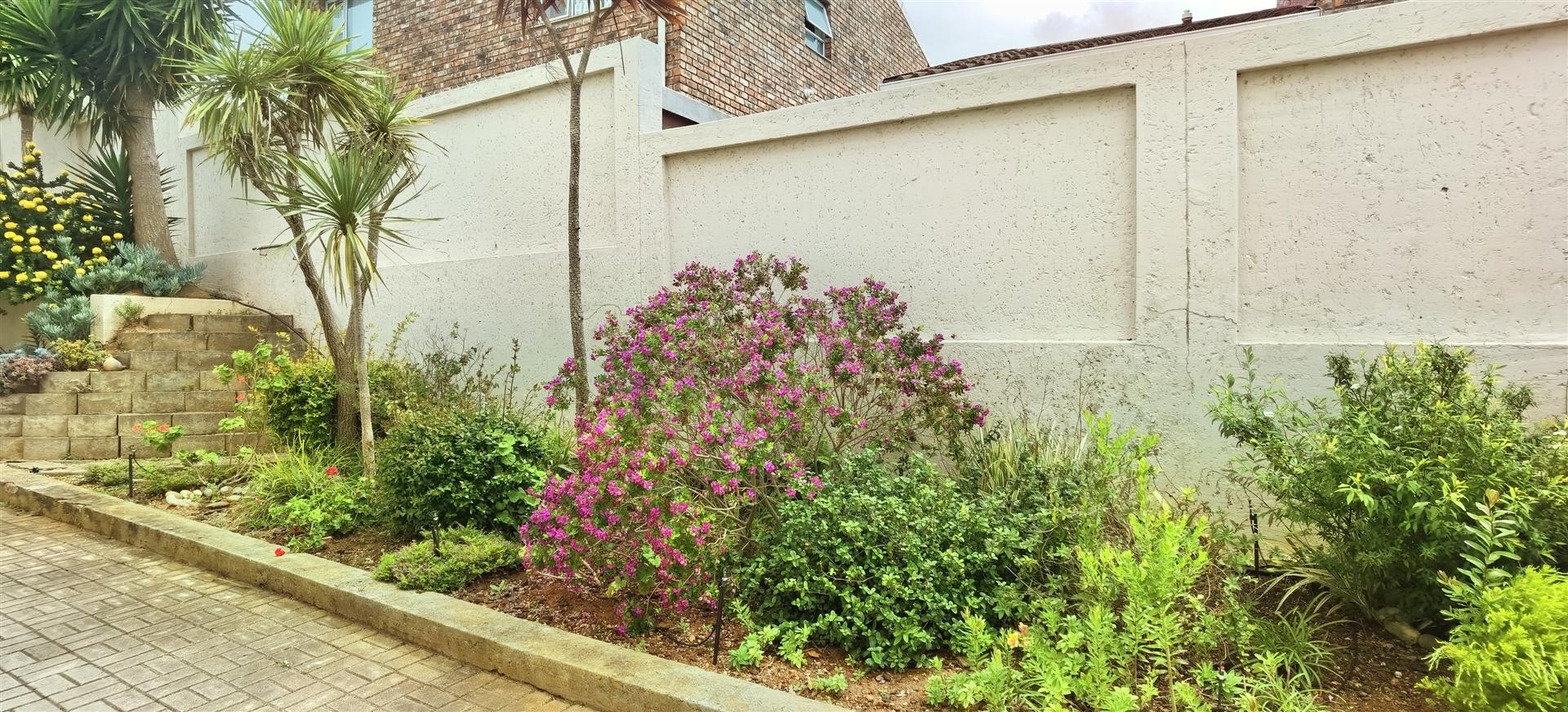 Image 14