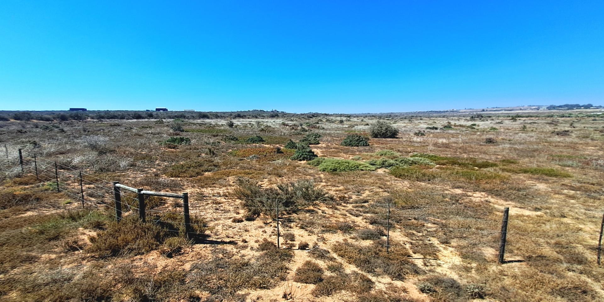 Image 4 of 6