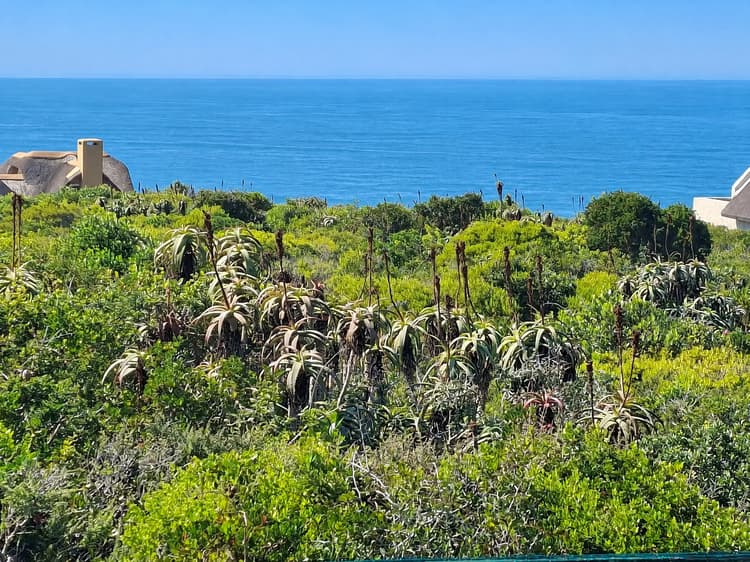 Main property image