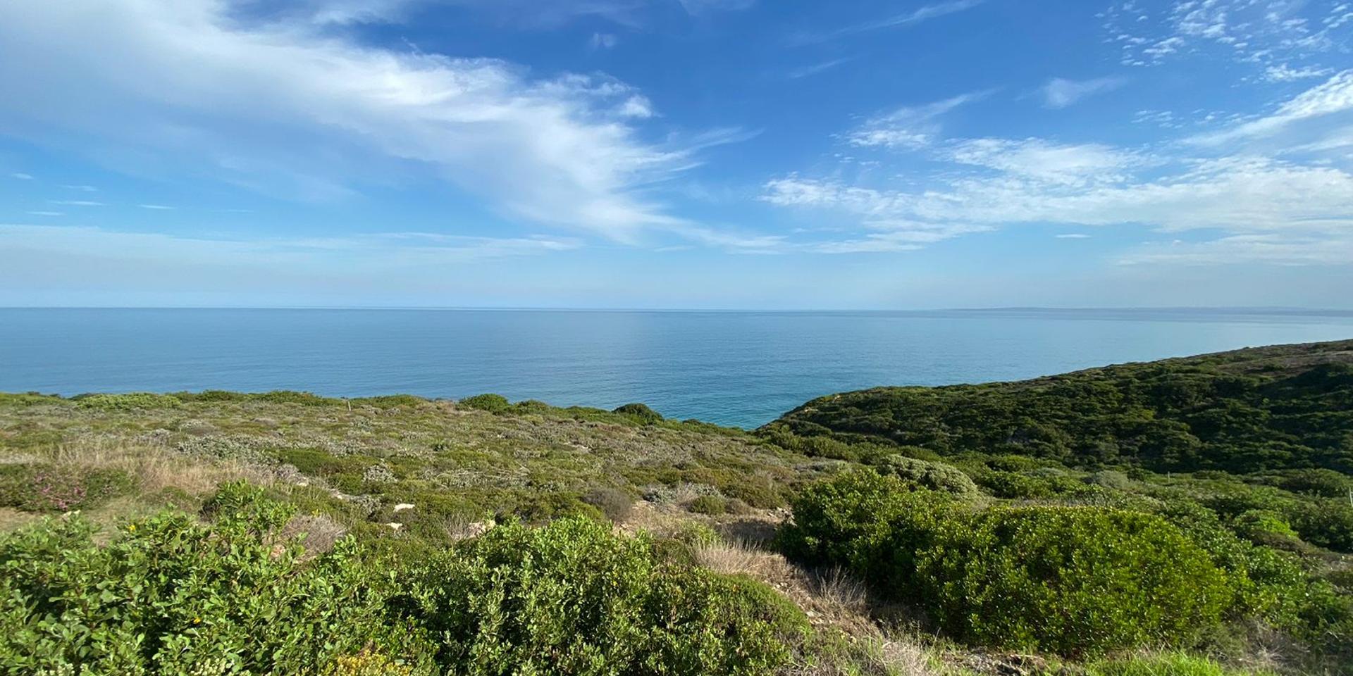 Image 5 of 6