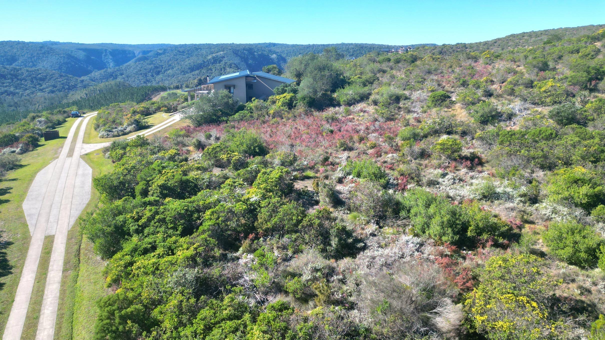 Image 5 of 6