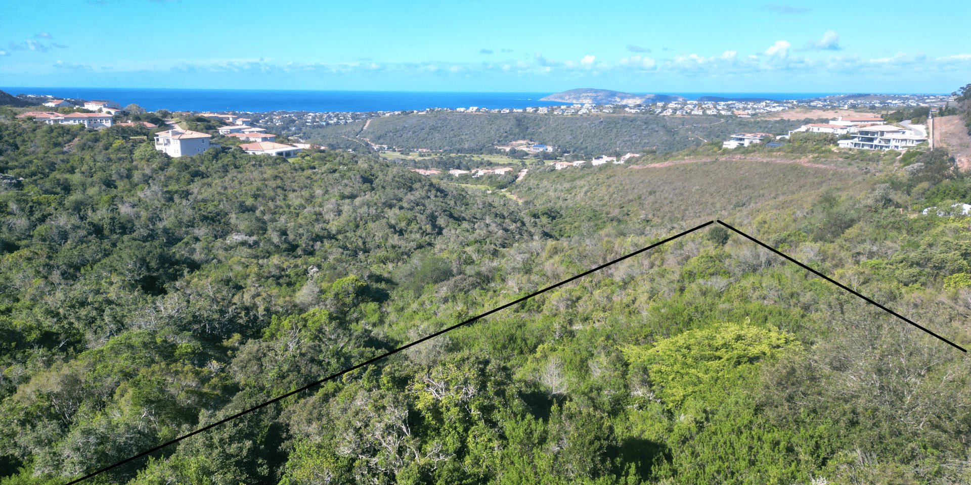 Image 5 of 6
