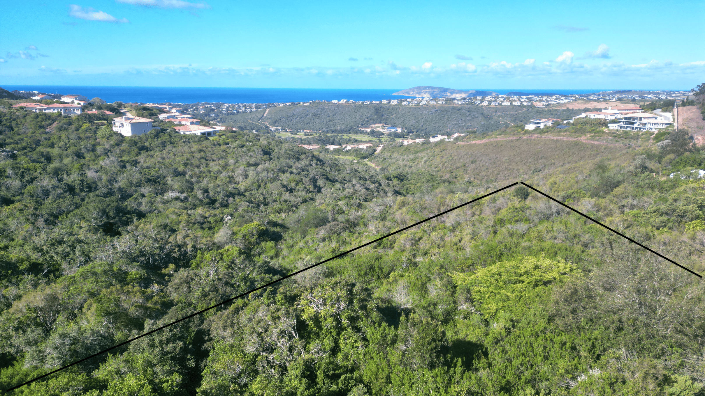 Image 5 of 6