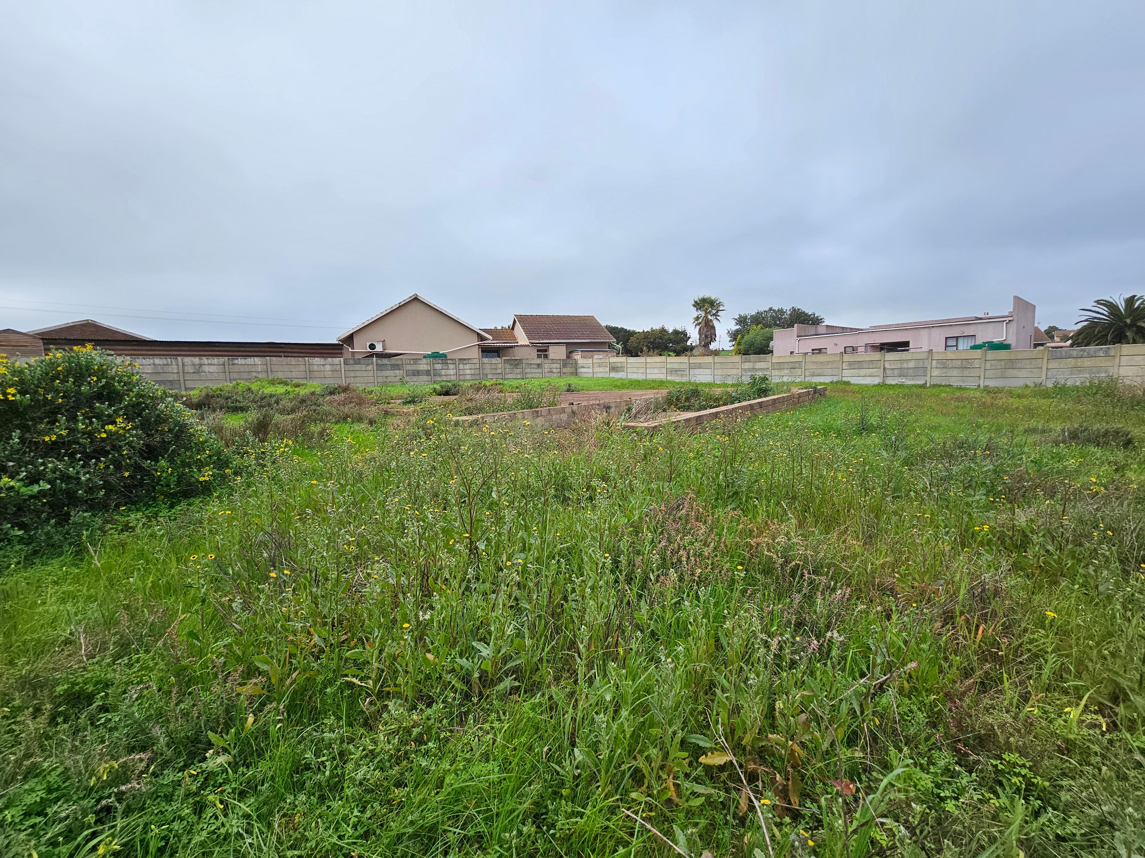 Image 6