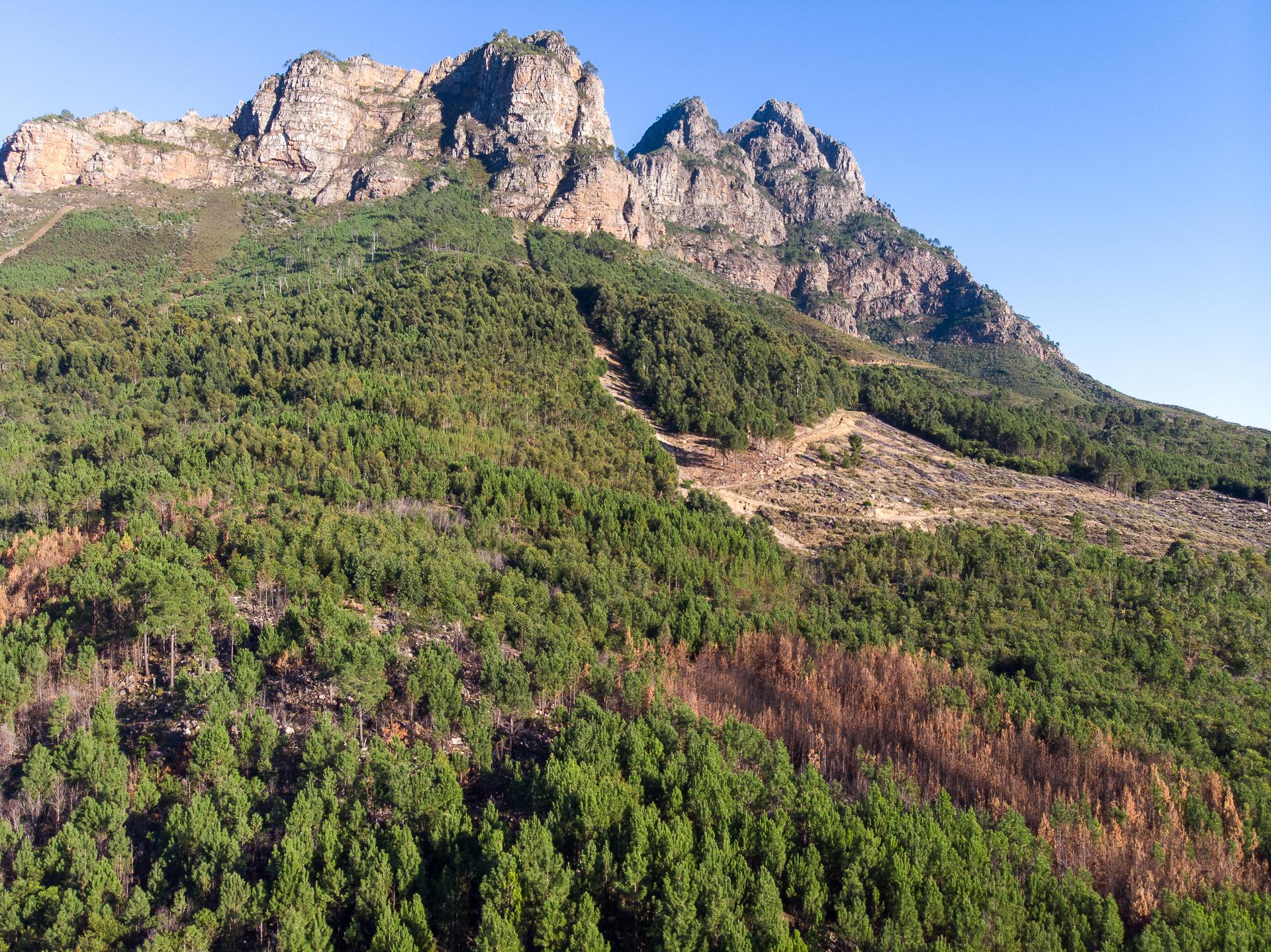 Image 5 of 6
