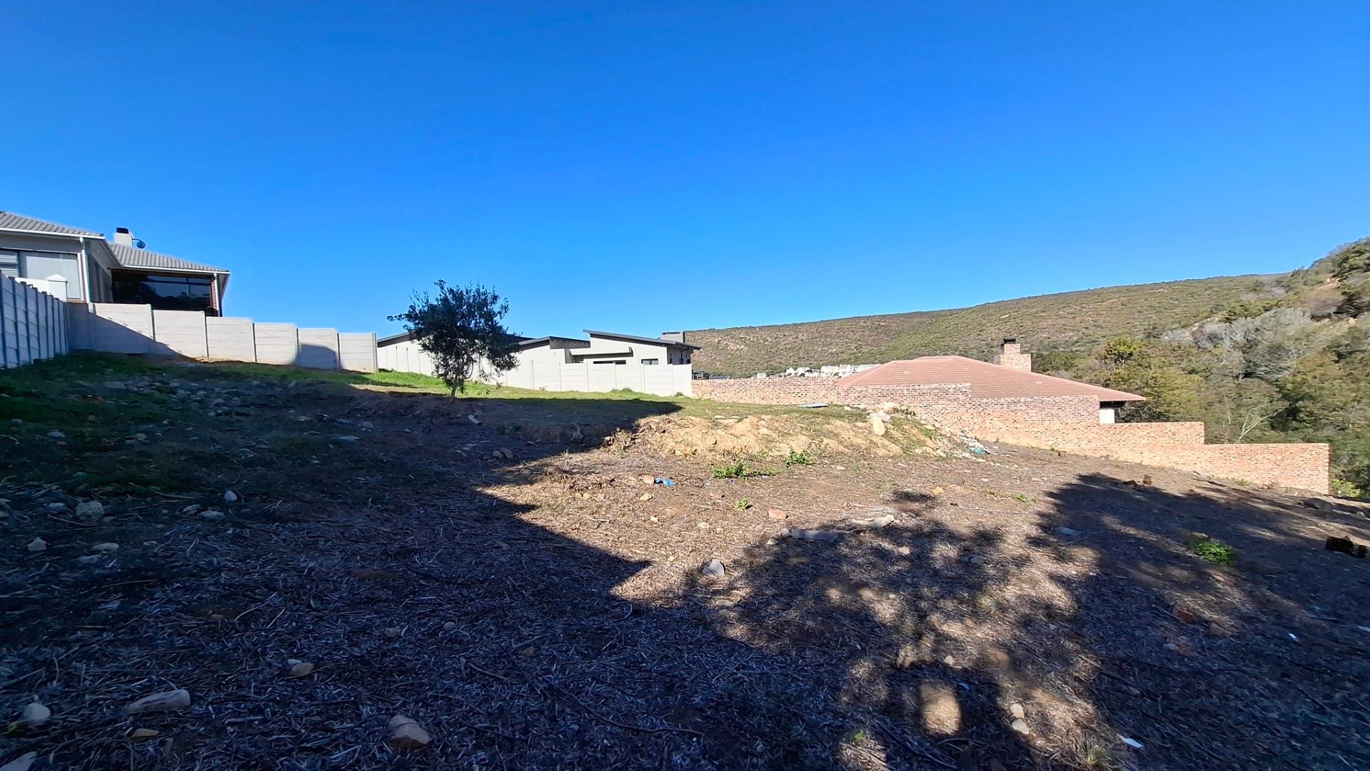 Image 5 of 6