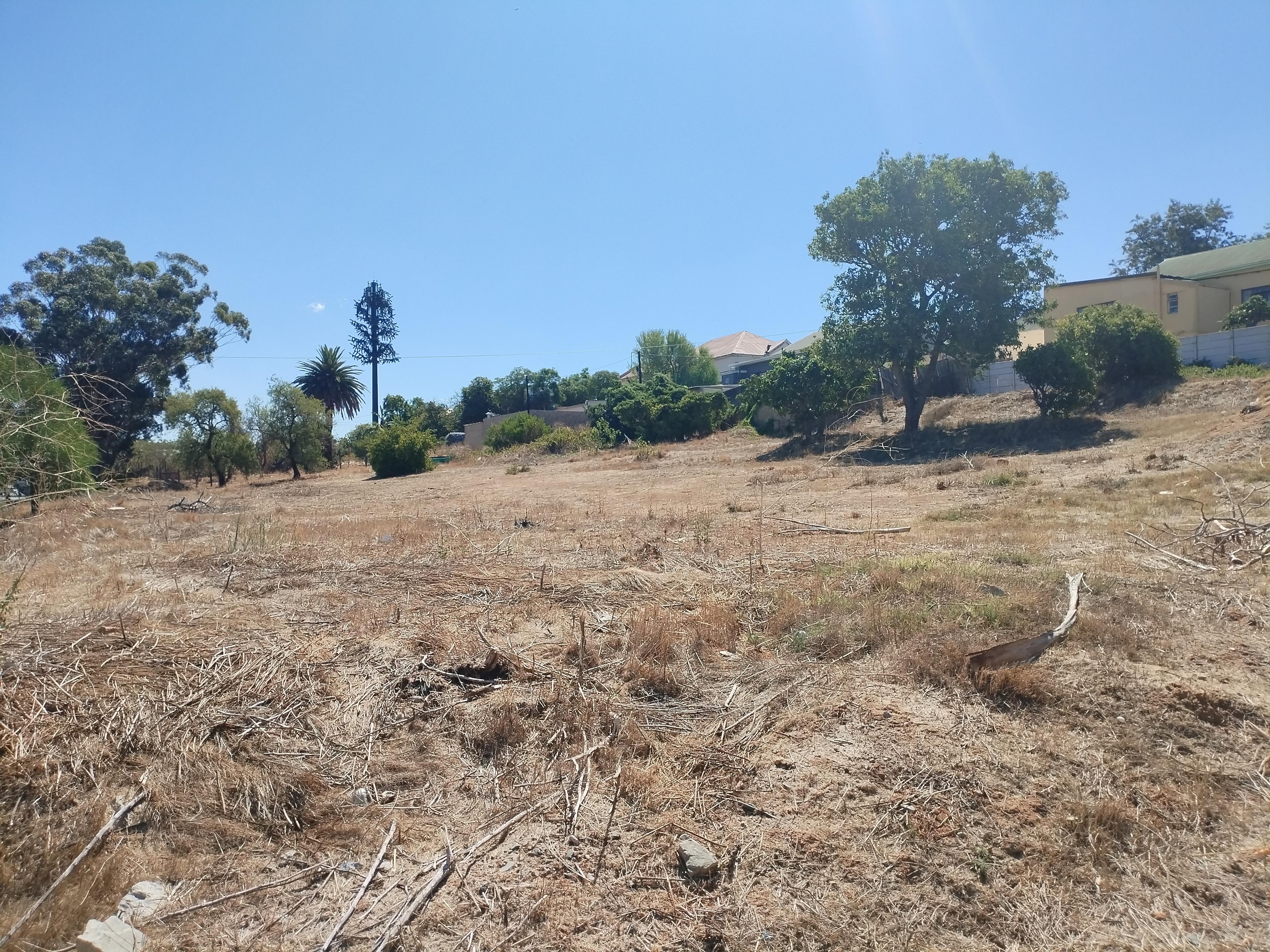 Image 10