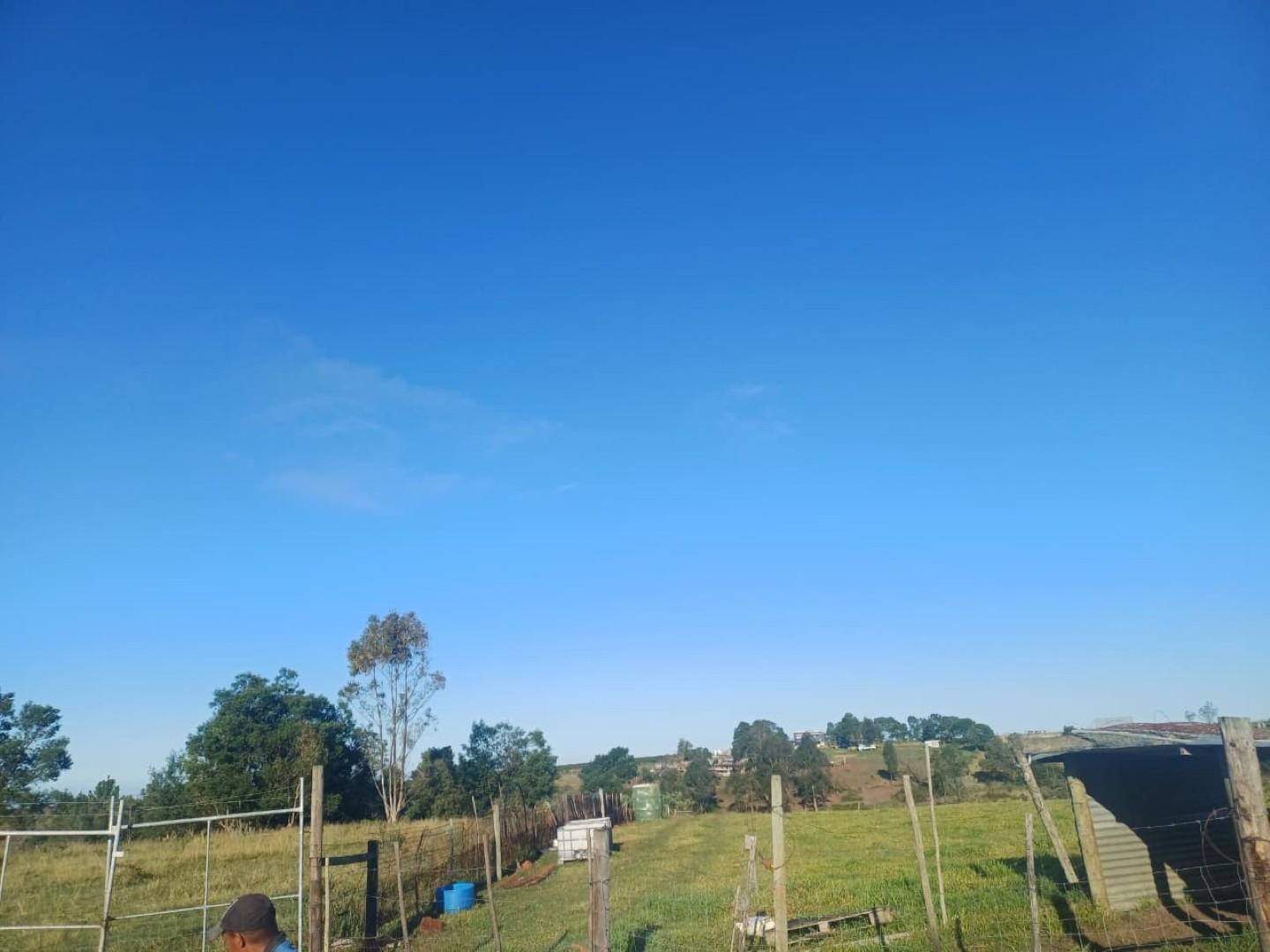 Image 2 of 6