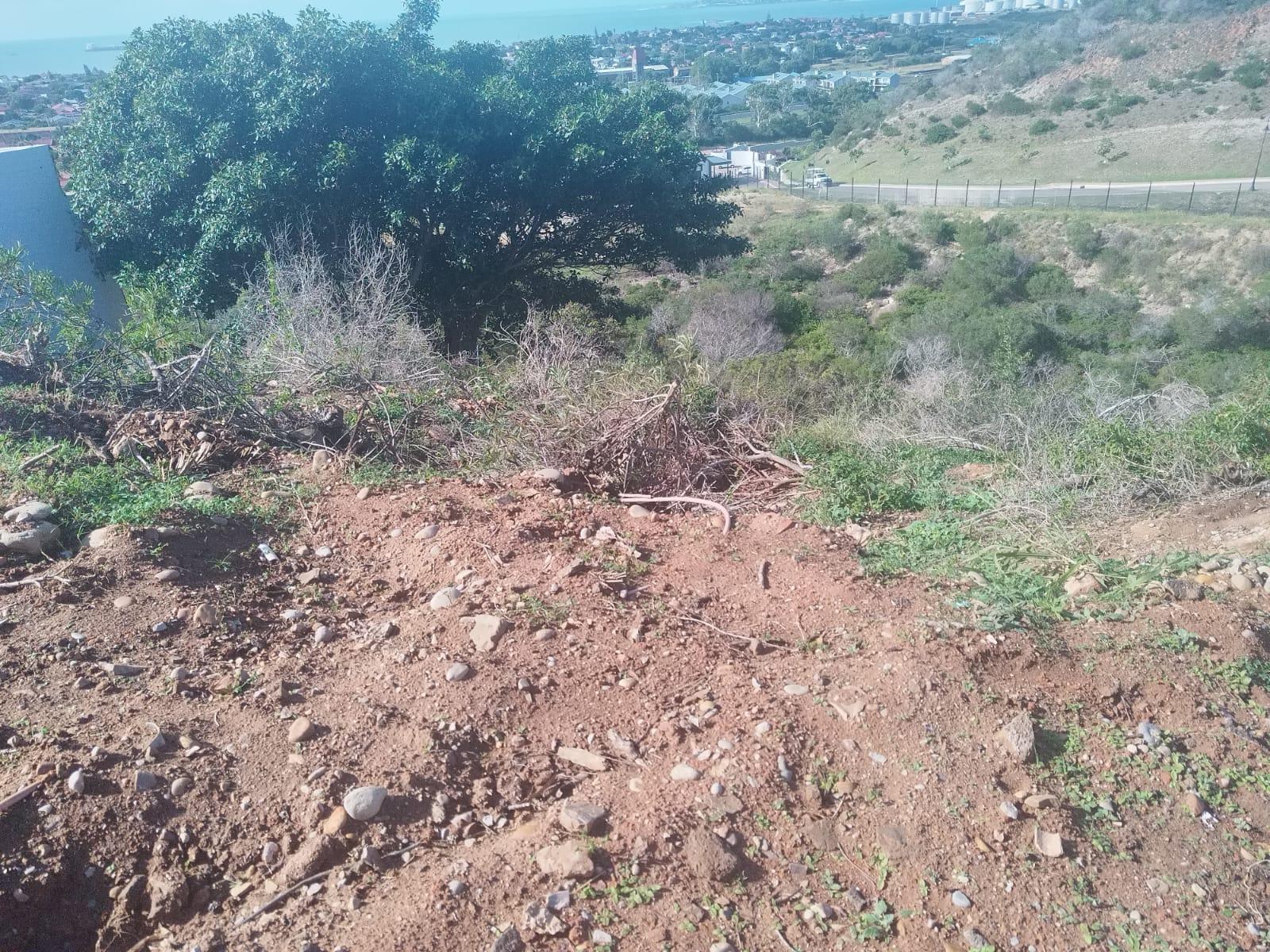 Image 14