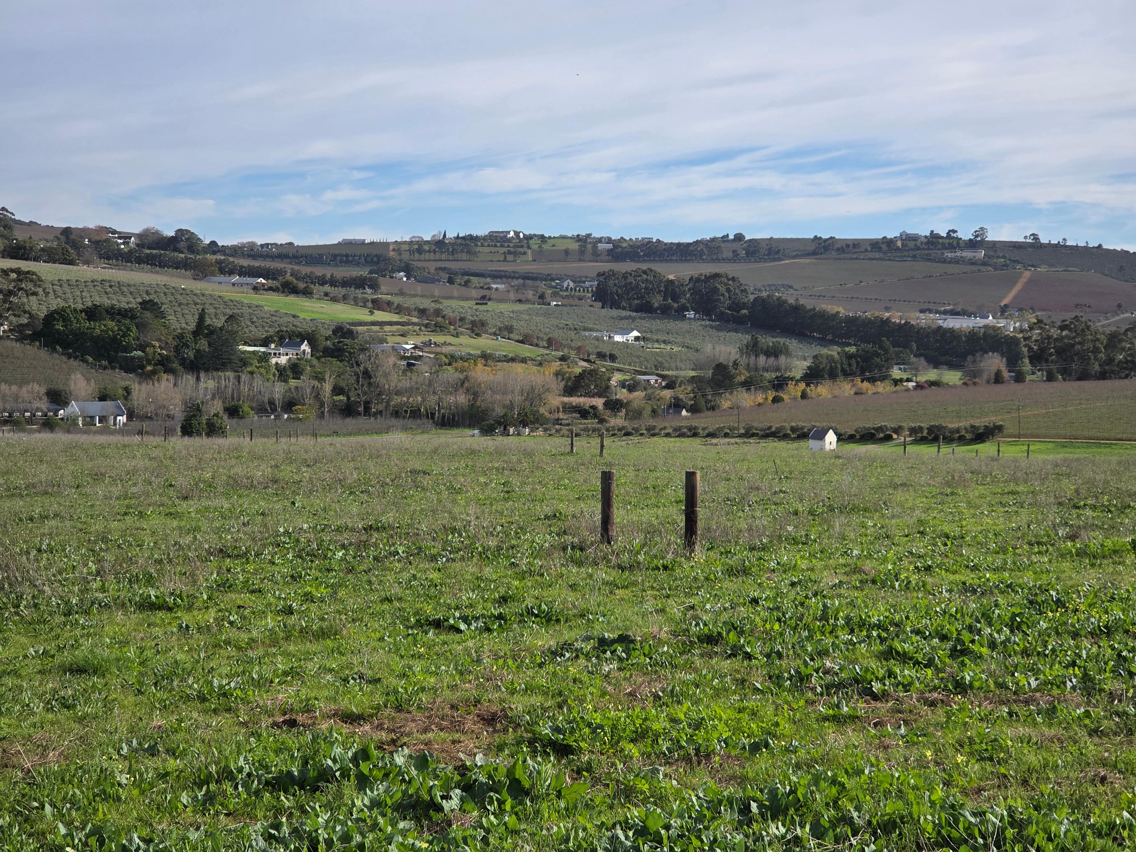 Image 13