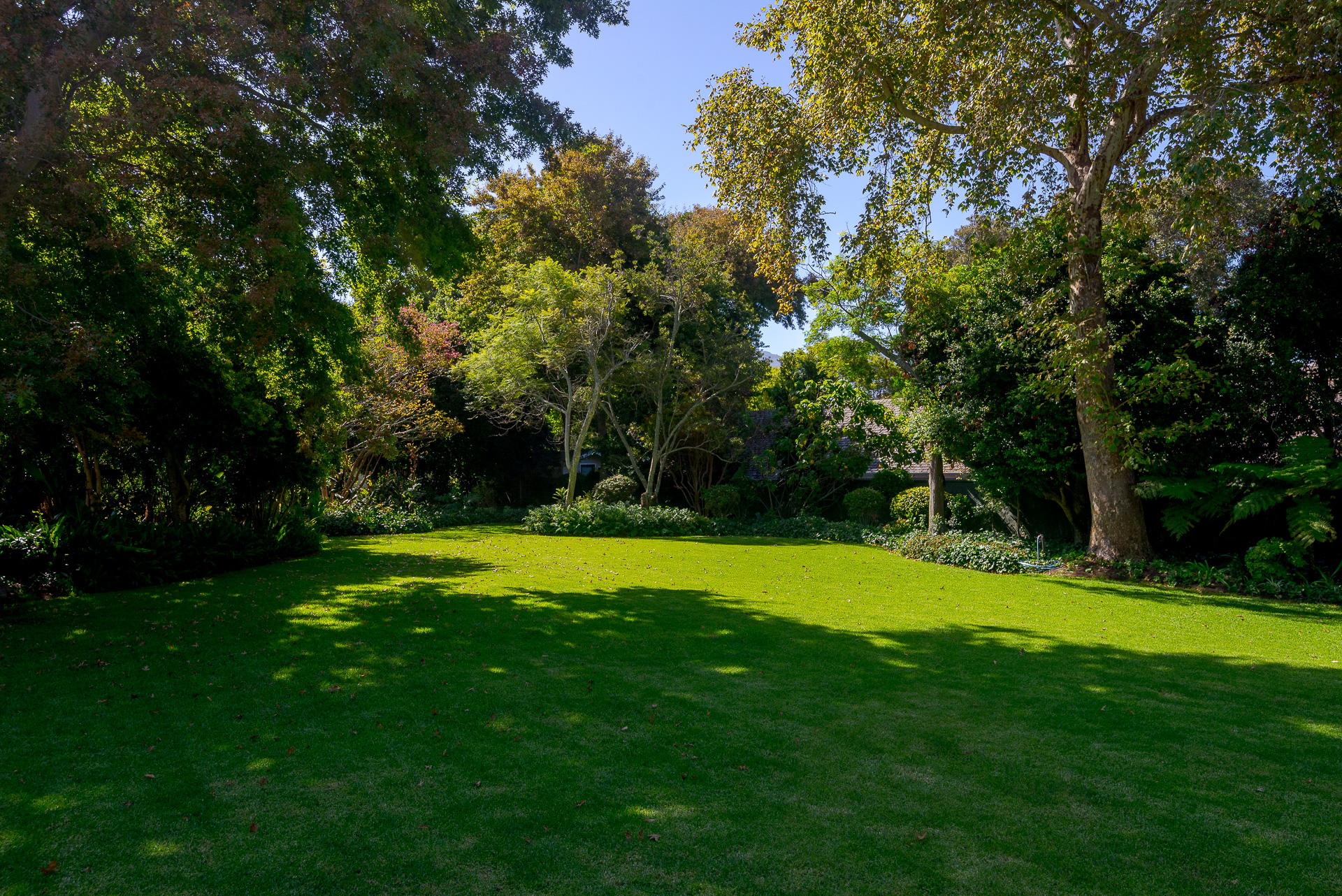 Image 5 of 6