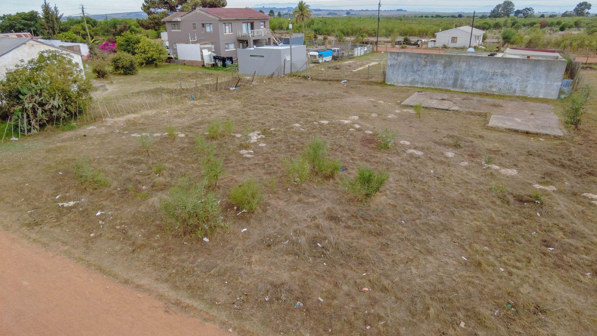 Image 14