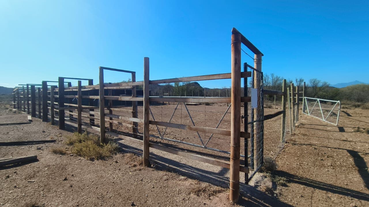 Image 16