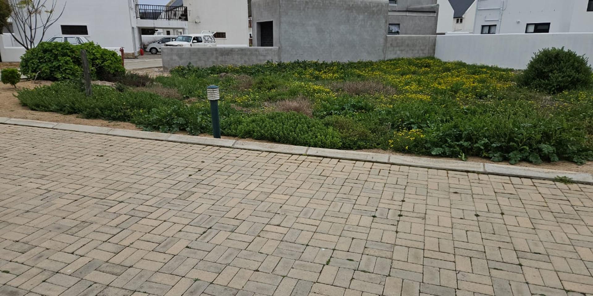 Image 5 of 6