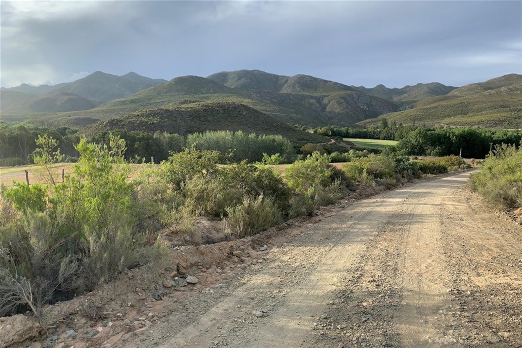 Image 6