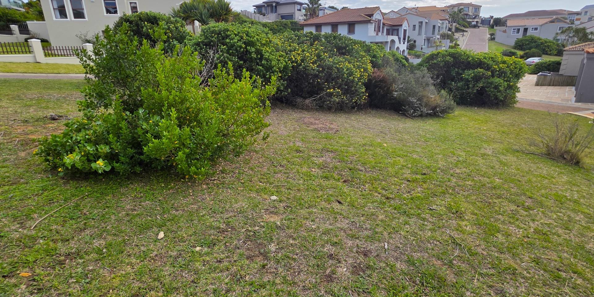 Image 5 of 6