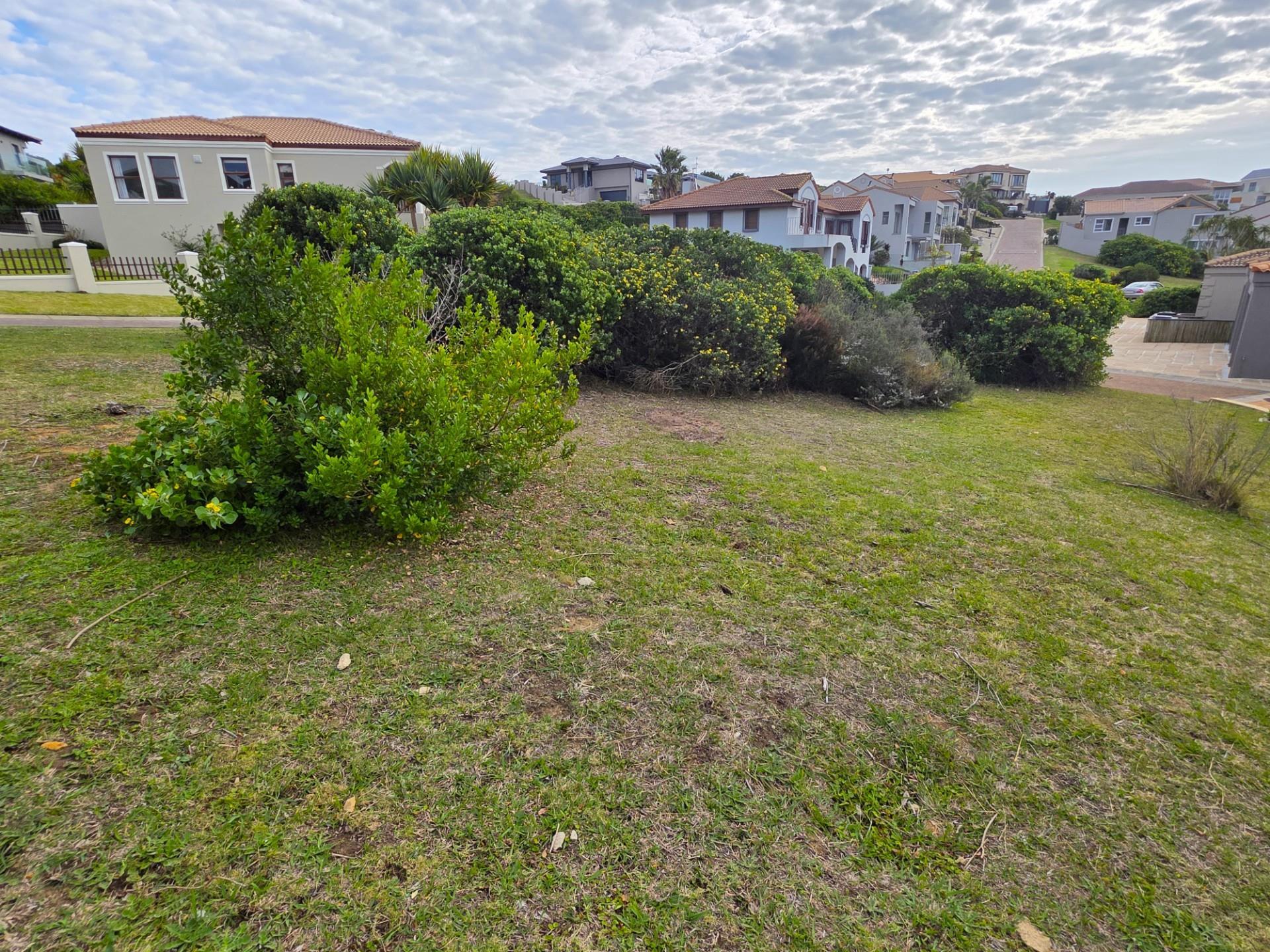 Image 5 of 6