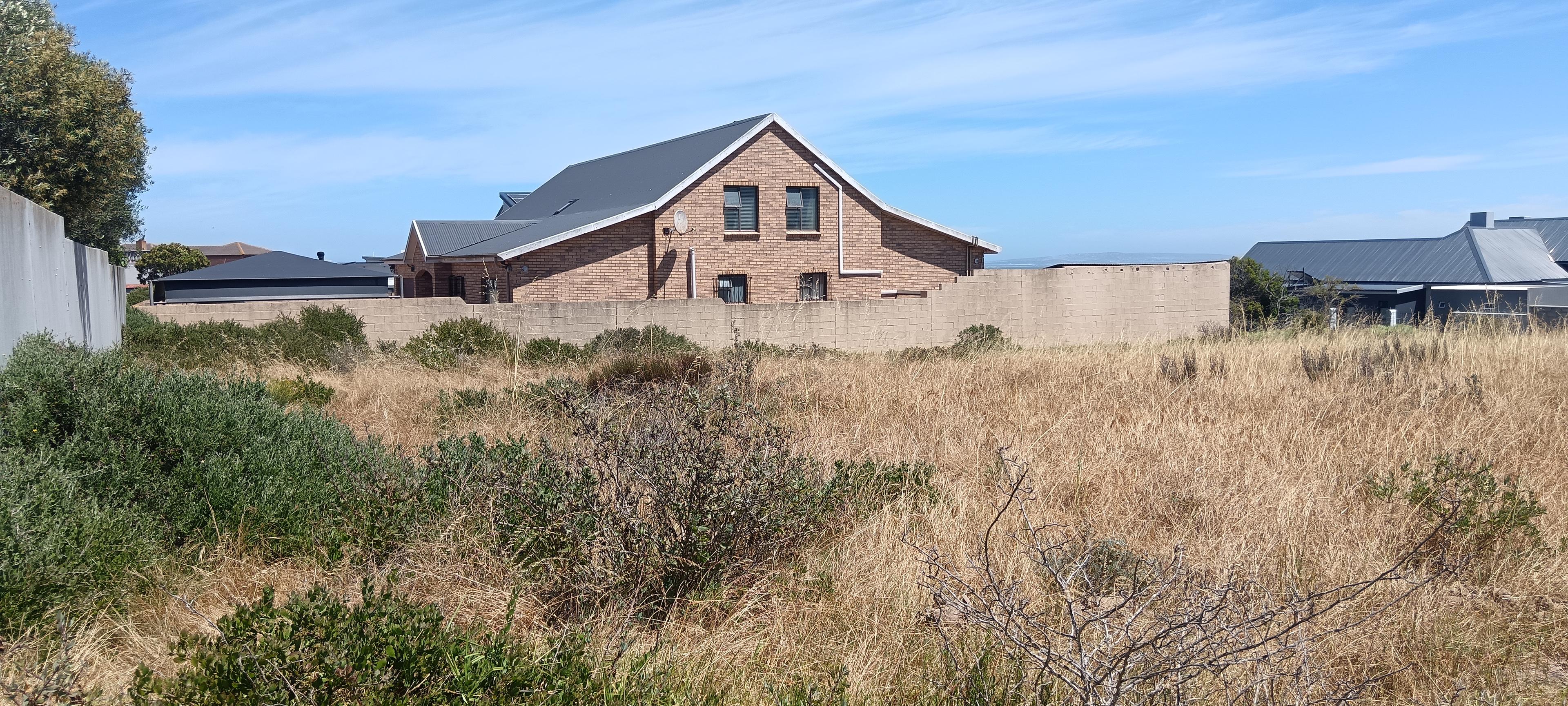 Image 19