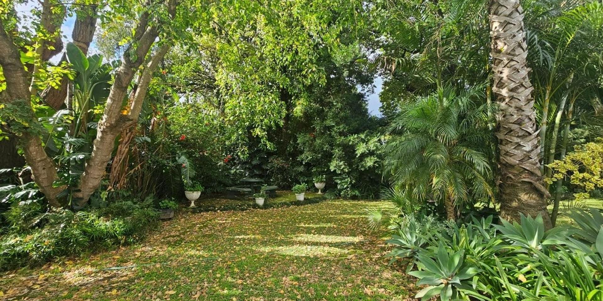 Image 4 of 6