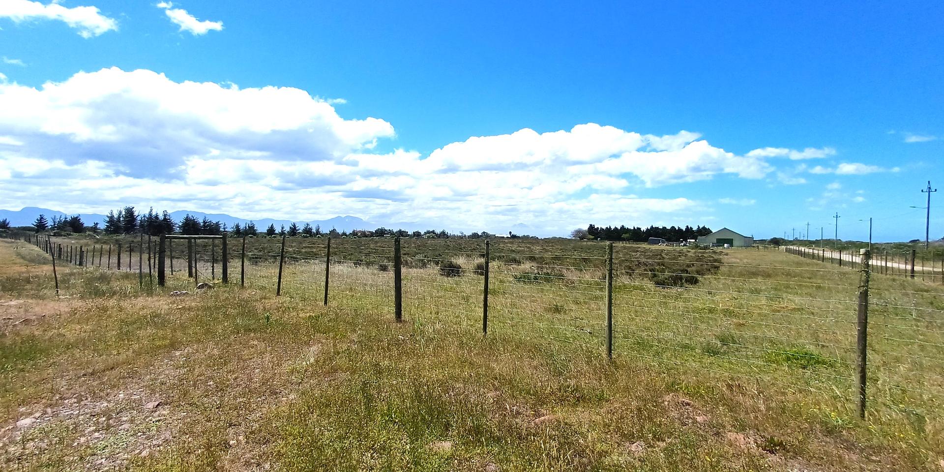 Image 4 of 6