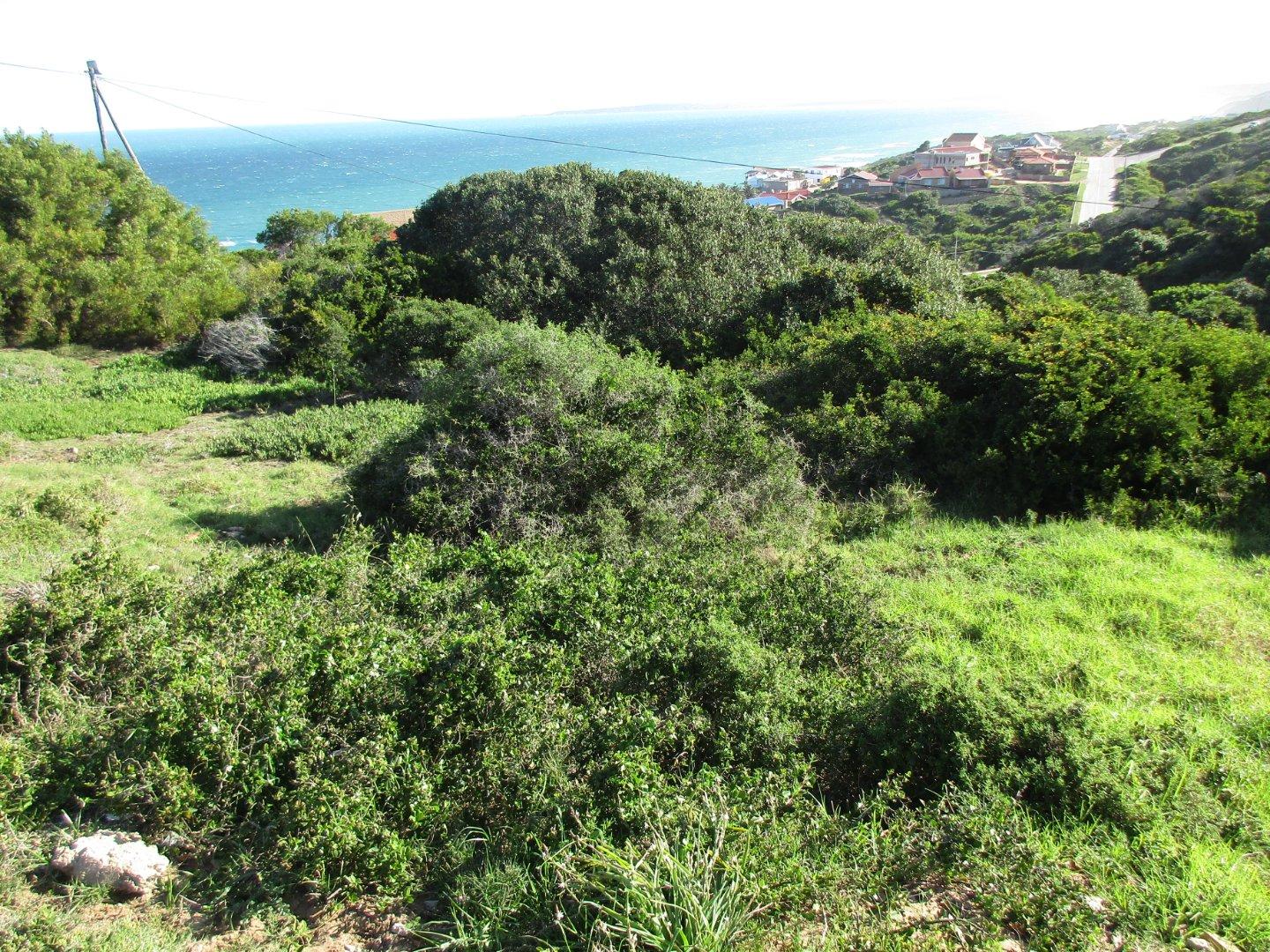 Image 4 of 6