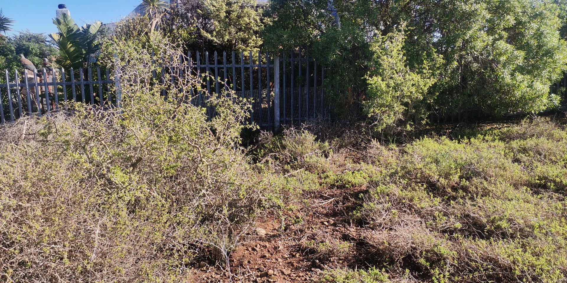 Image 3 of 6