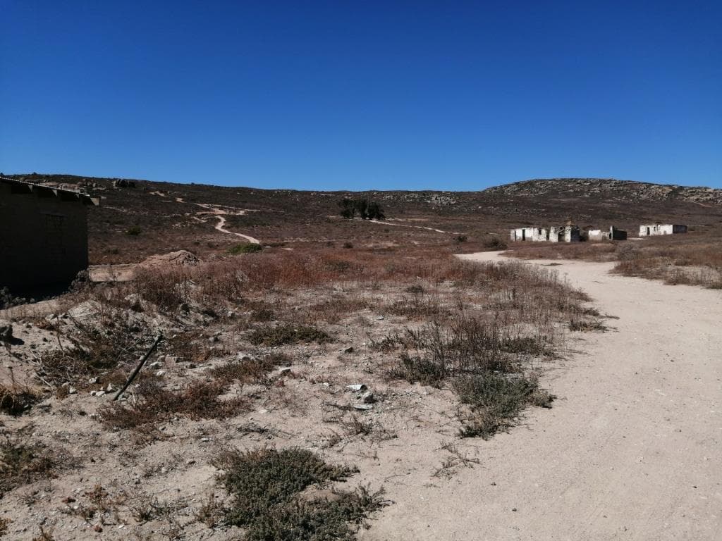 Image 3 of 6