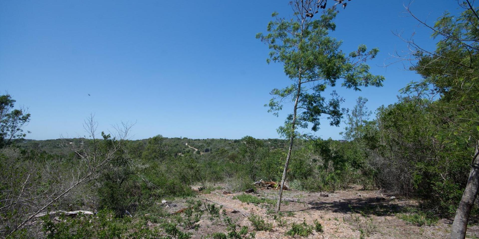 Image 5 of 6