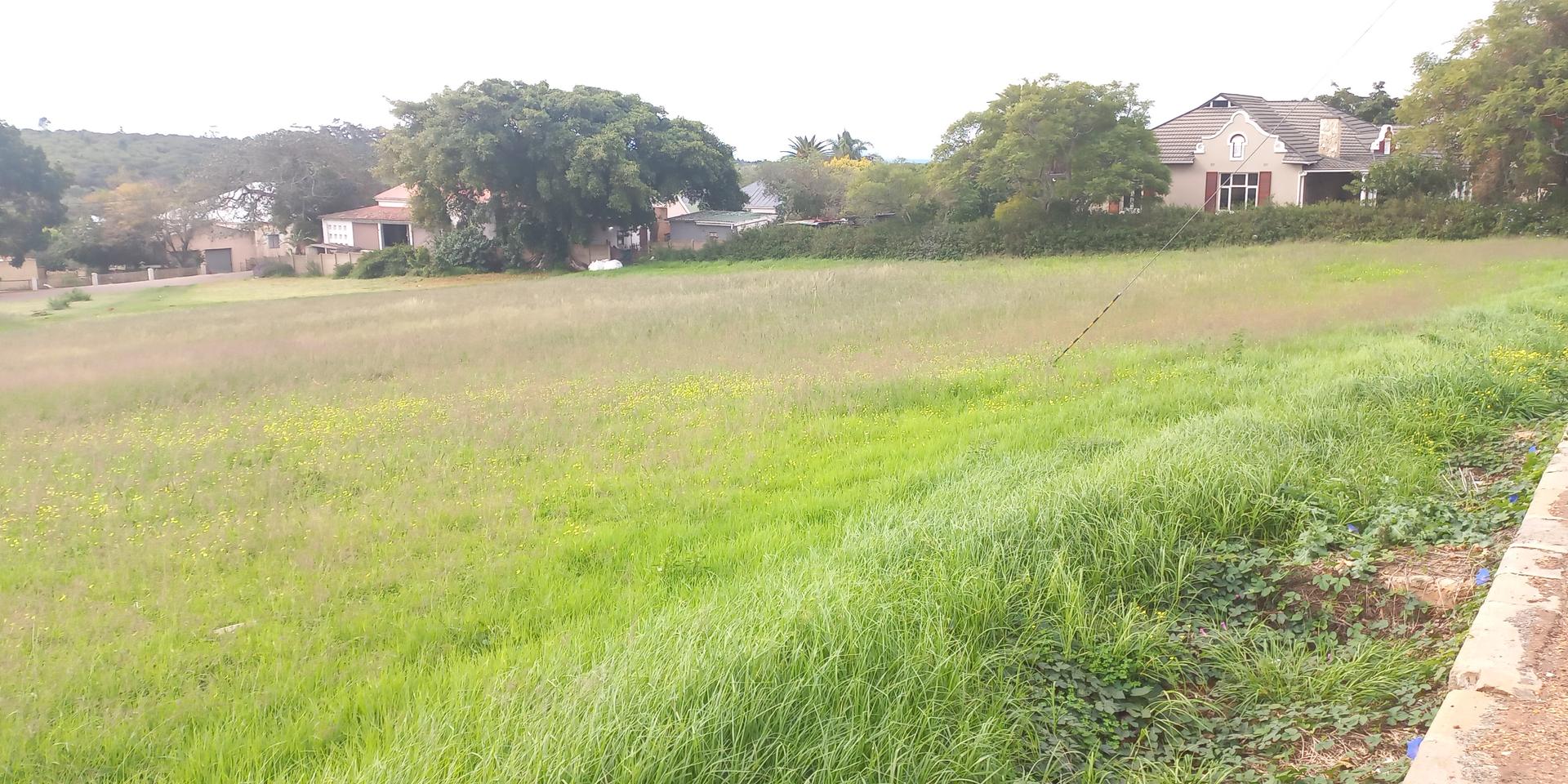 Image 4 of 6