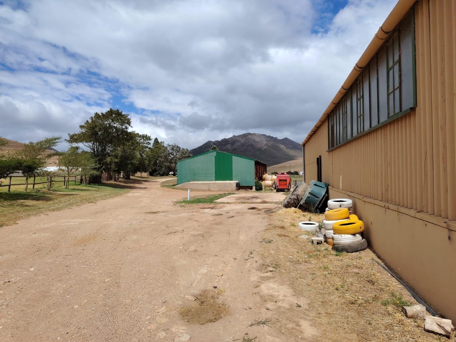 Image 40