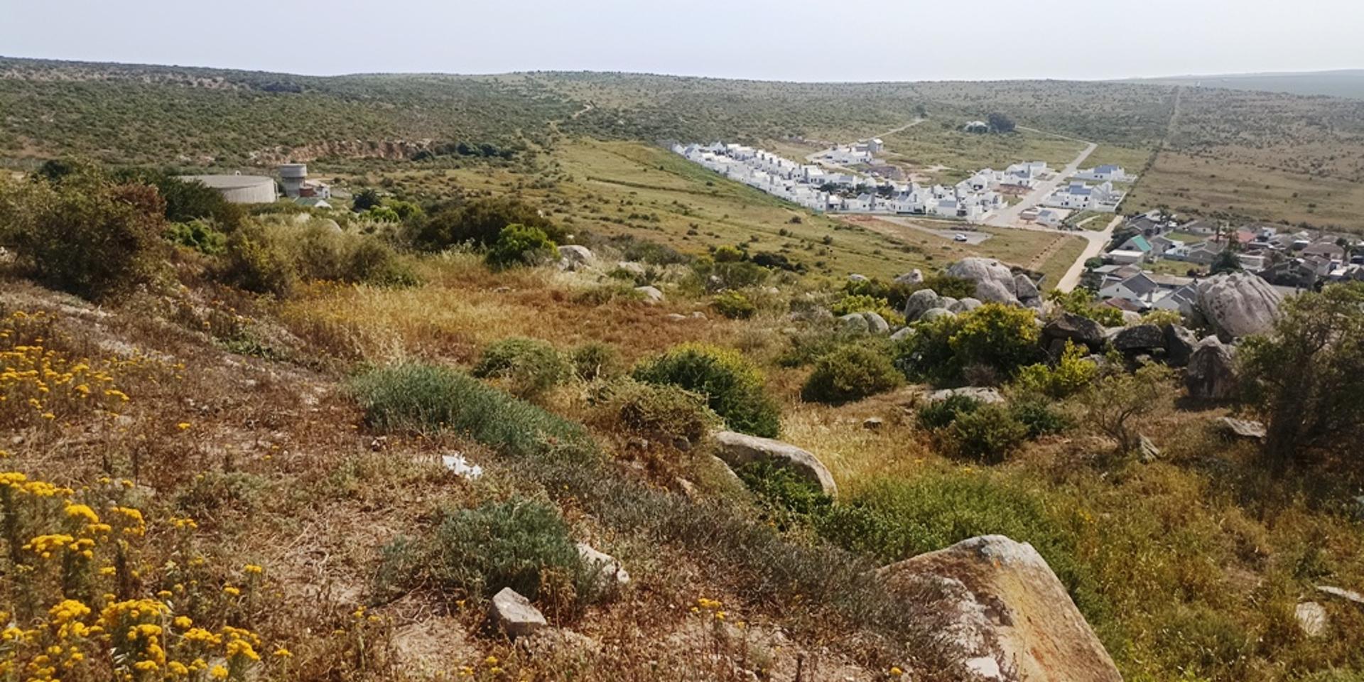 Image 2 of 6