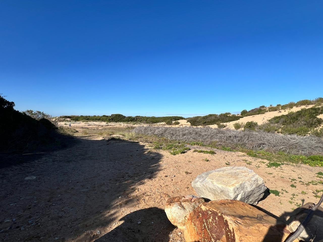 Image 12